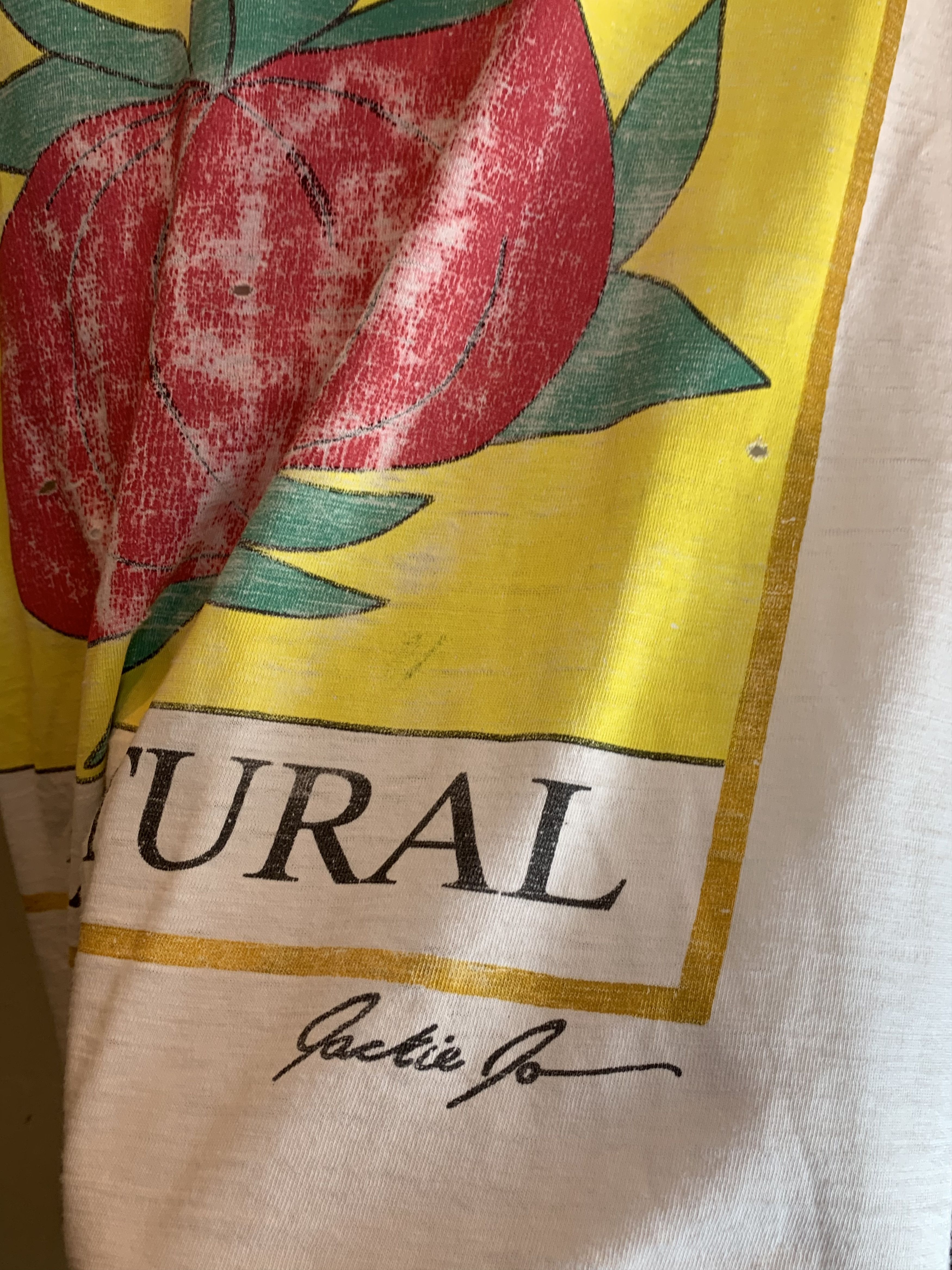 Vintage *RARE* Vintage Tomatoes All Natural Single Stitch Art Shirt Size US XL / EU 56 / 4 - 3 Thumbnail