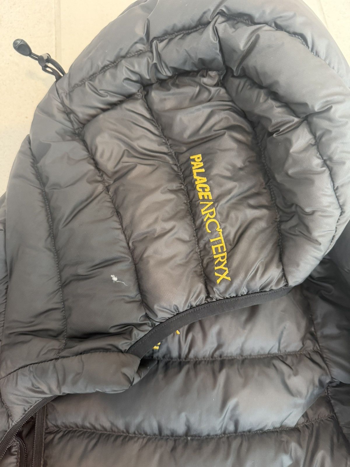 Arc'teryx × Palace Palace x Arcteryx Down Jacket Size US M / EU 48-50 / 2 - 7 Thumbnail