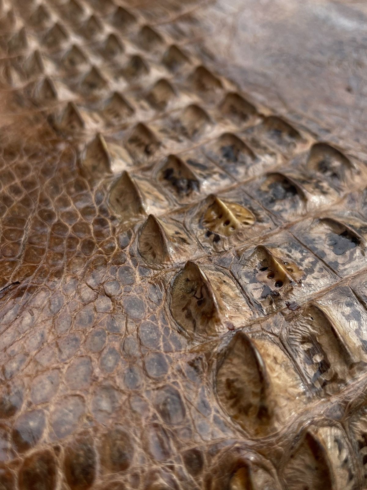 Vintage Shaped Crocodile’s Ridge & Python Snakeskin: Genuine Vintage Size ONE SIZE - 8 Thumbnail
