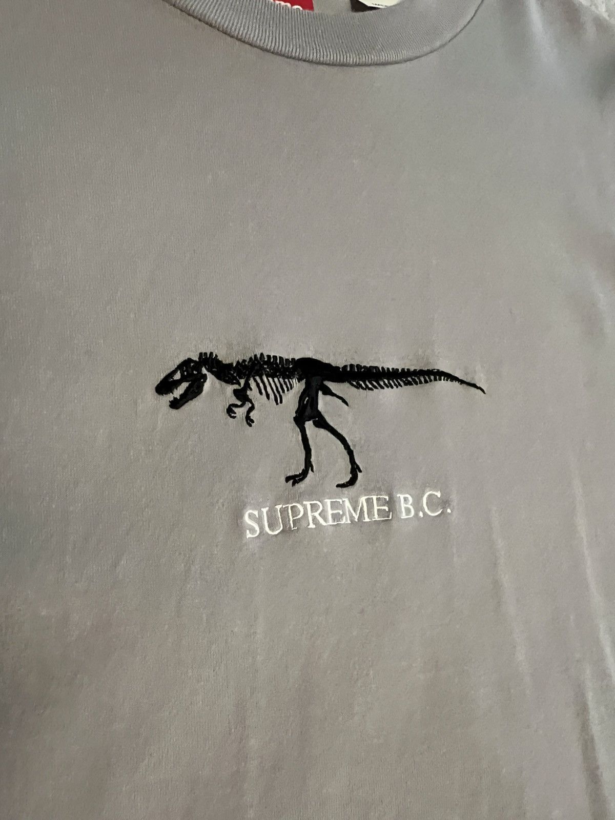 Supreme Supreme T-Rex Size US M / EU 48-50 / 2 - 2 Thumbnail