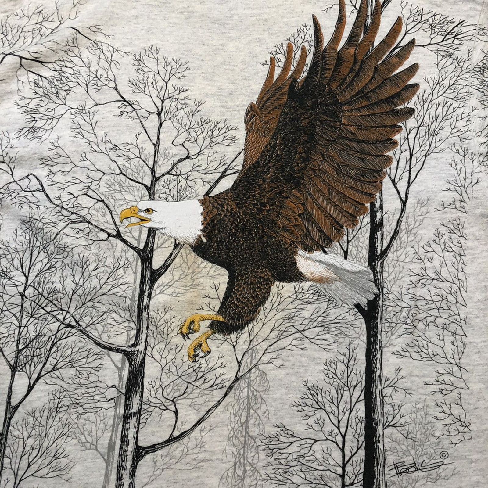 Vintage Vintage 90s Tultex Bald Eagle T Shirt USA Nature Animal Tee Size US L / EU 52-54 / 3 - 6 Thumbnail