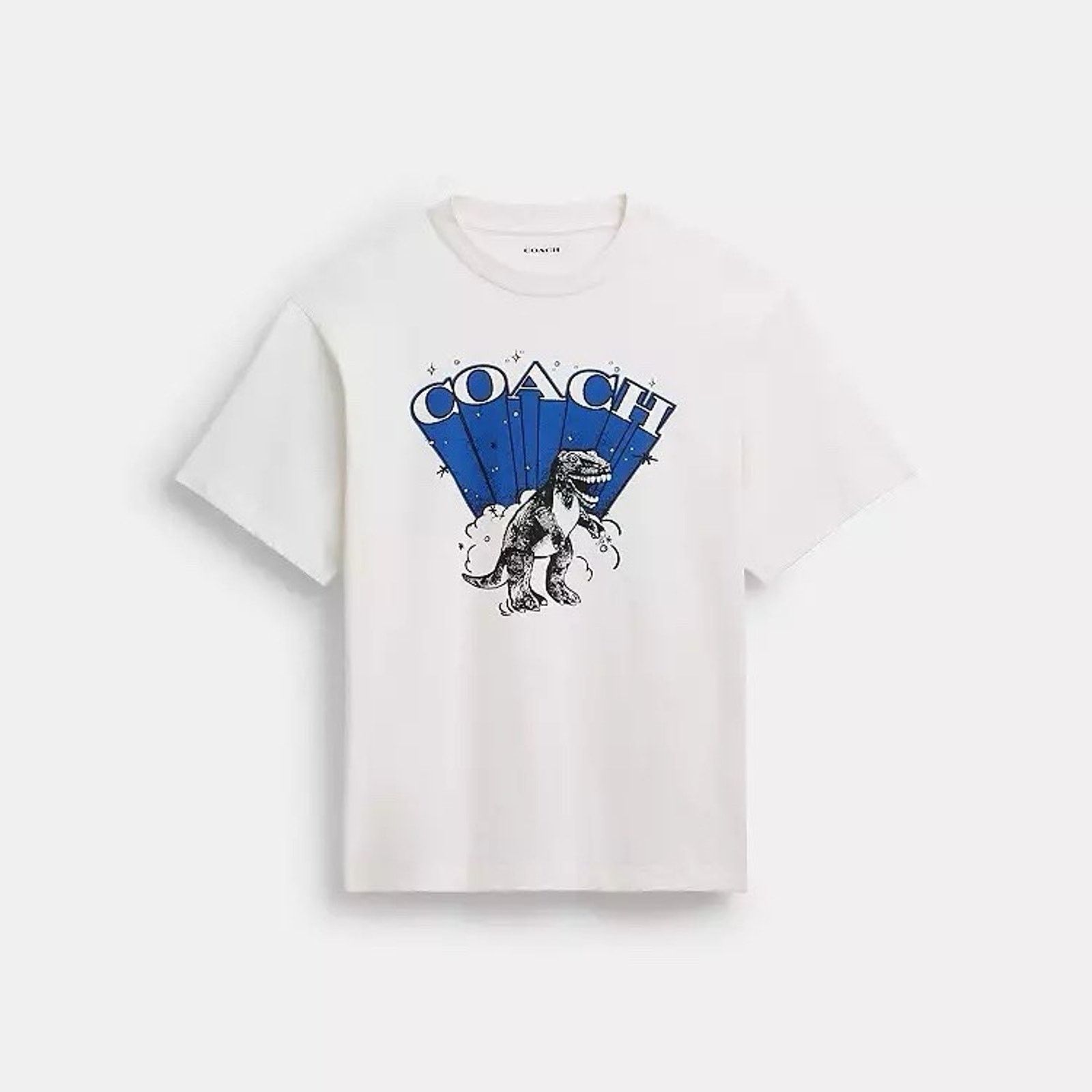 Coach NWT COACH Men T-Rex Relaxed T-Shirt Vintage CCT56 small Size US S / EU 44-46 / 1 - 1 Thumbnail