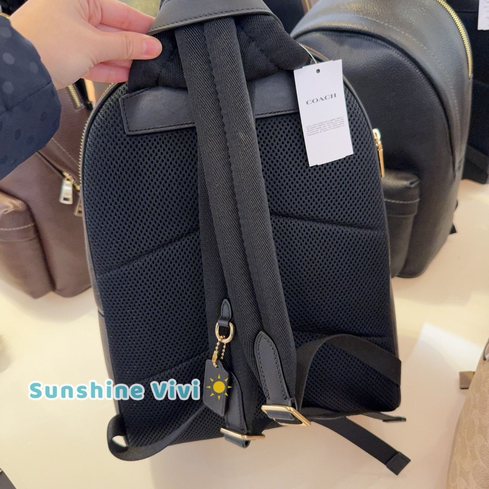 Coach NWT Coach Taylor Small Backpack CDW76 WALNUT/BLACK Size ONE SIZE - 3 Thumbnail