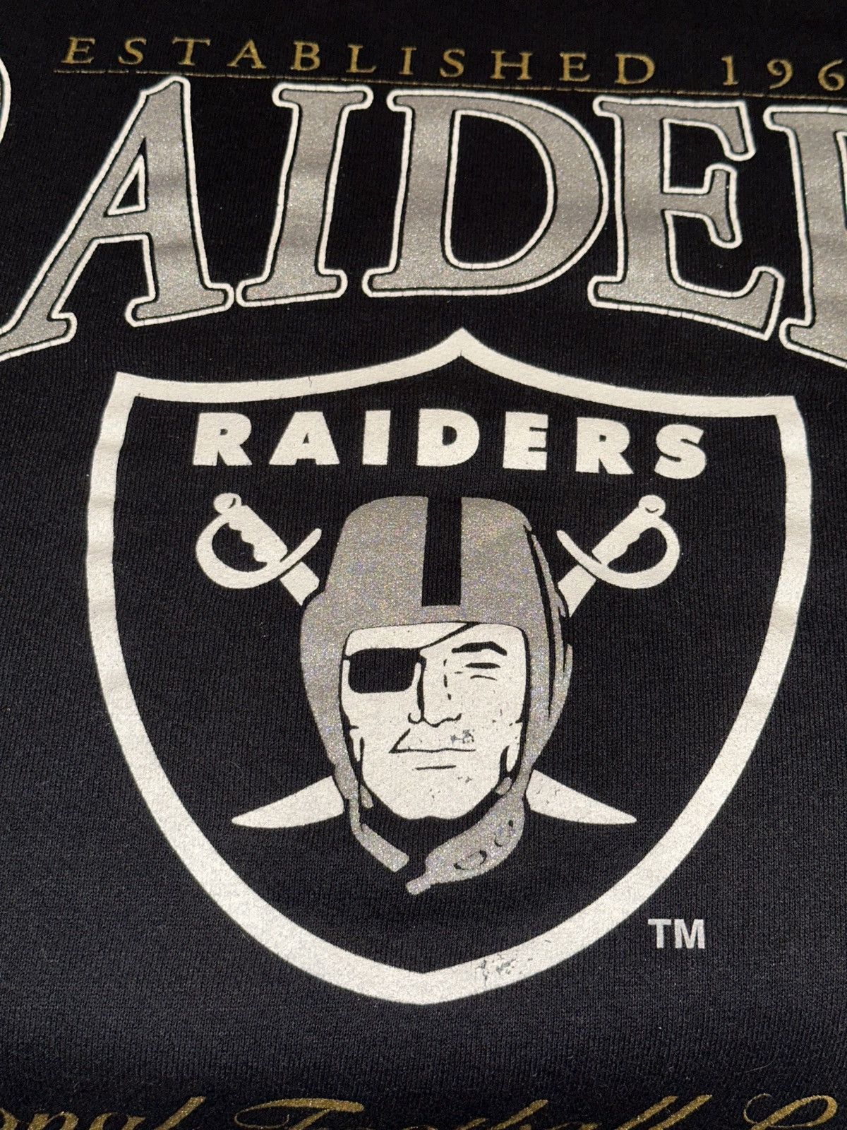Nutmeg Vtg 1995 NUTMEG Raiders Established 1960 Logo Sweater Size US M / EU 48-50 / 2 - 2 Thumbnail
