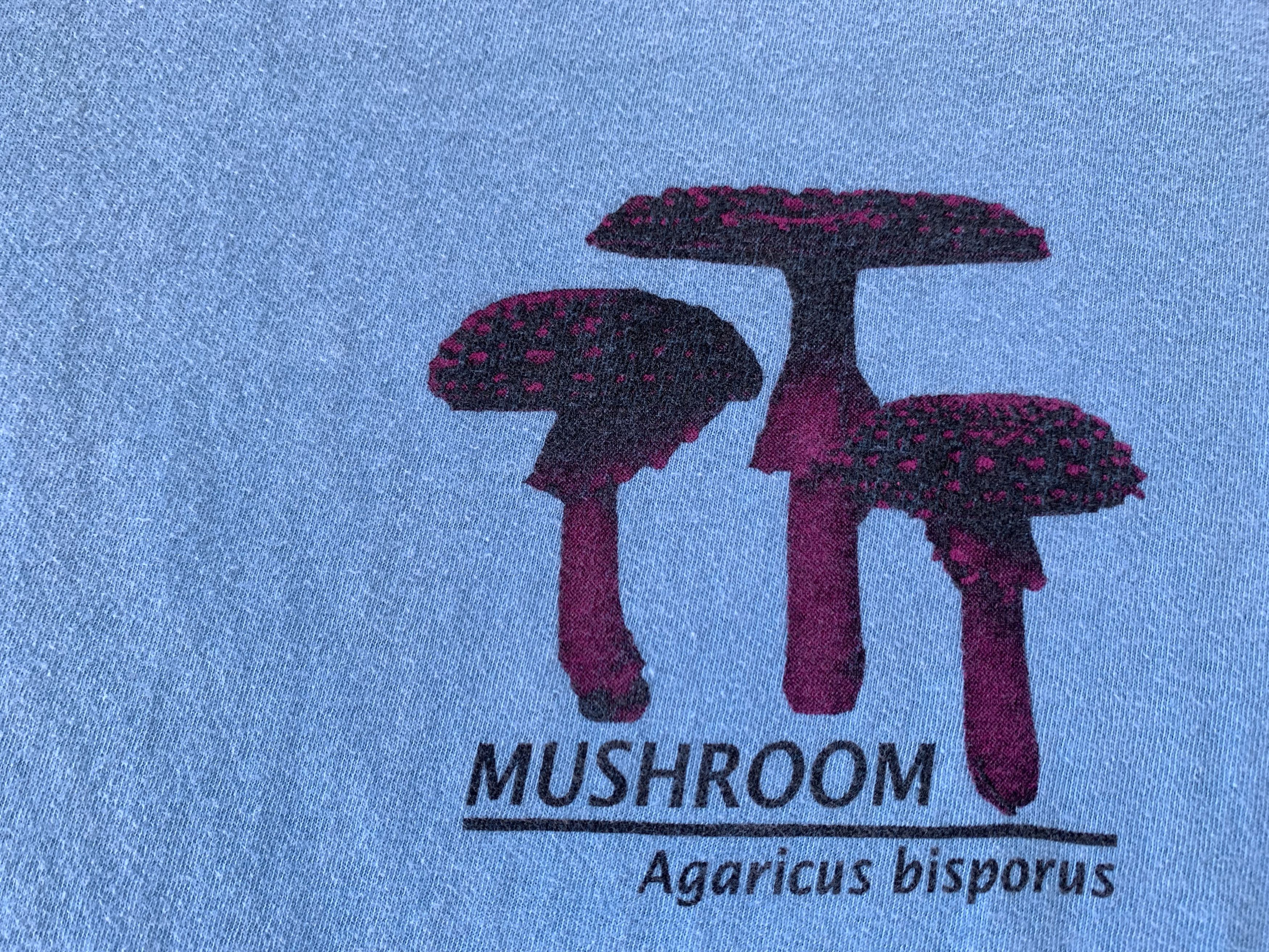 Arts & Science × Vintage Vintage Agaricus Bisporus Mushroom Printed T-Shirt Size US S / EU 44-46 / 1 - 6 Thumbnail