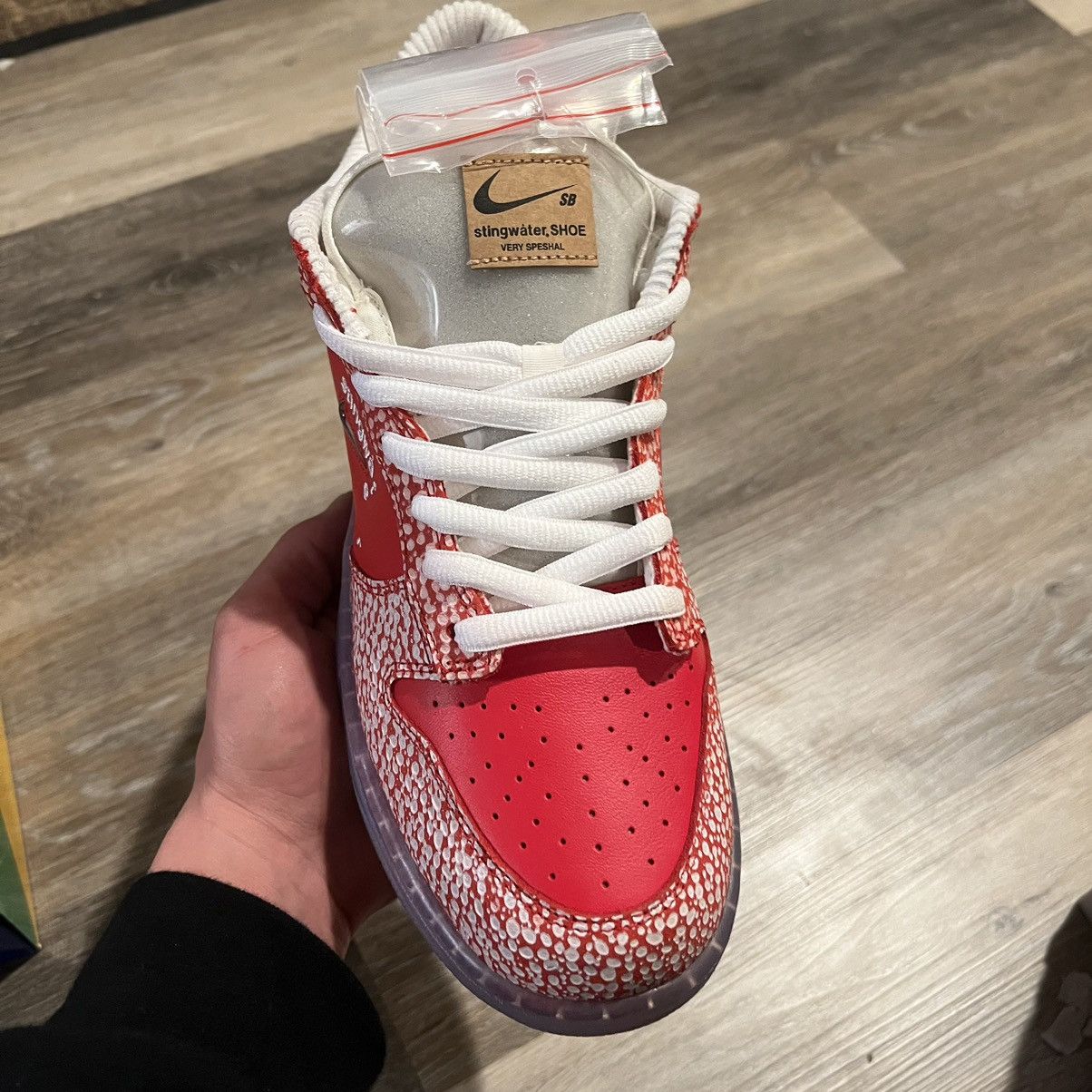 Nike × Stingwater Nike Sb Dunk Low Stingwater Magic Mushroom Size US 10.5 / EU 43-44 - 24 Thumbnail