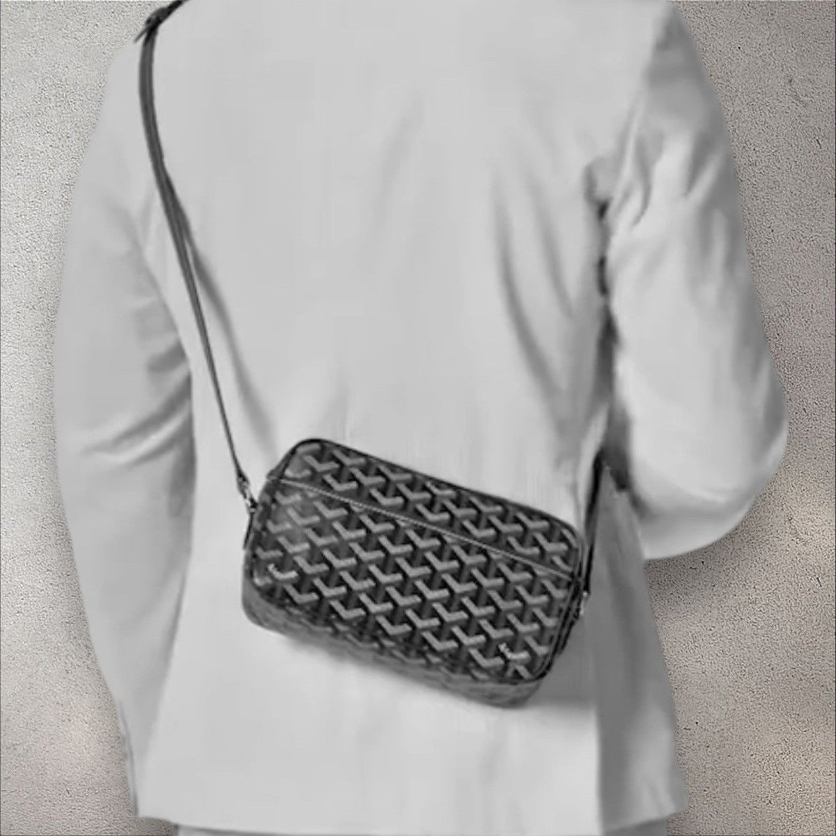 Goyard Goyard Goyardine Cap Vert Camera Bag Size ONE SIZE - 15 Thumbnail
