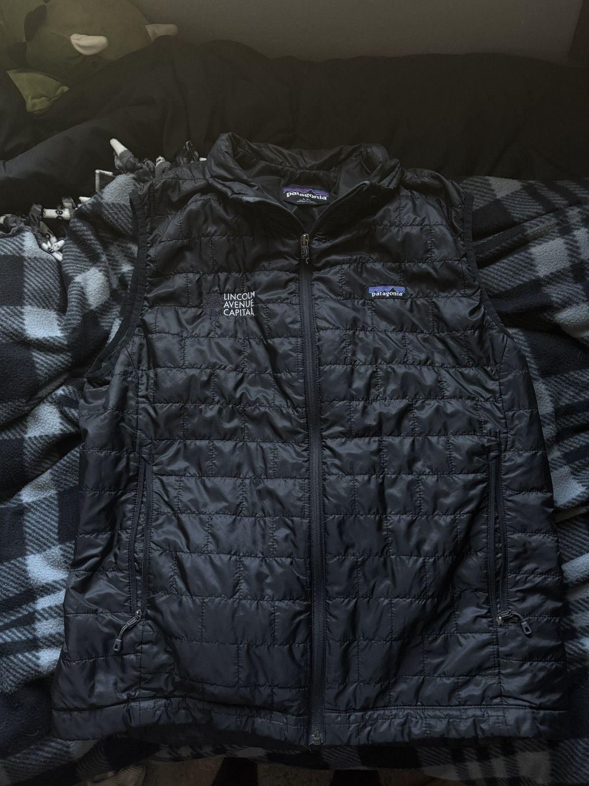 Patagonia Patagonia Vest Size US L / EU 52-54 / 3 - 1 Thumbnail