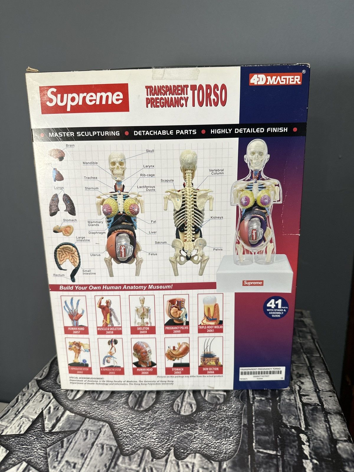Supreme Supreme Transparent Pregnancy Torso Size ONE SIZE - 4 Thumbnail