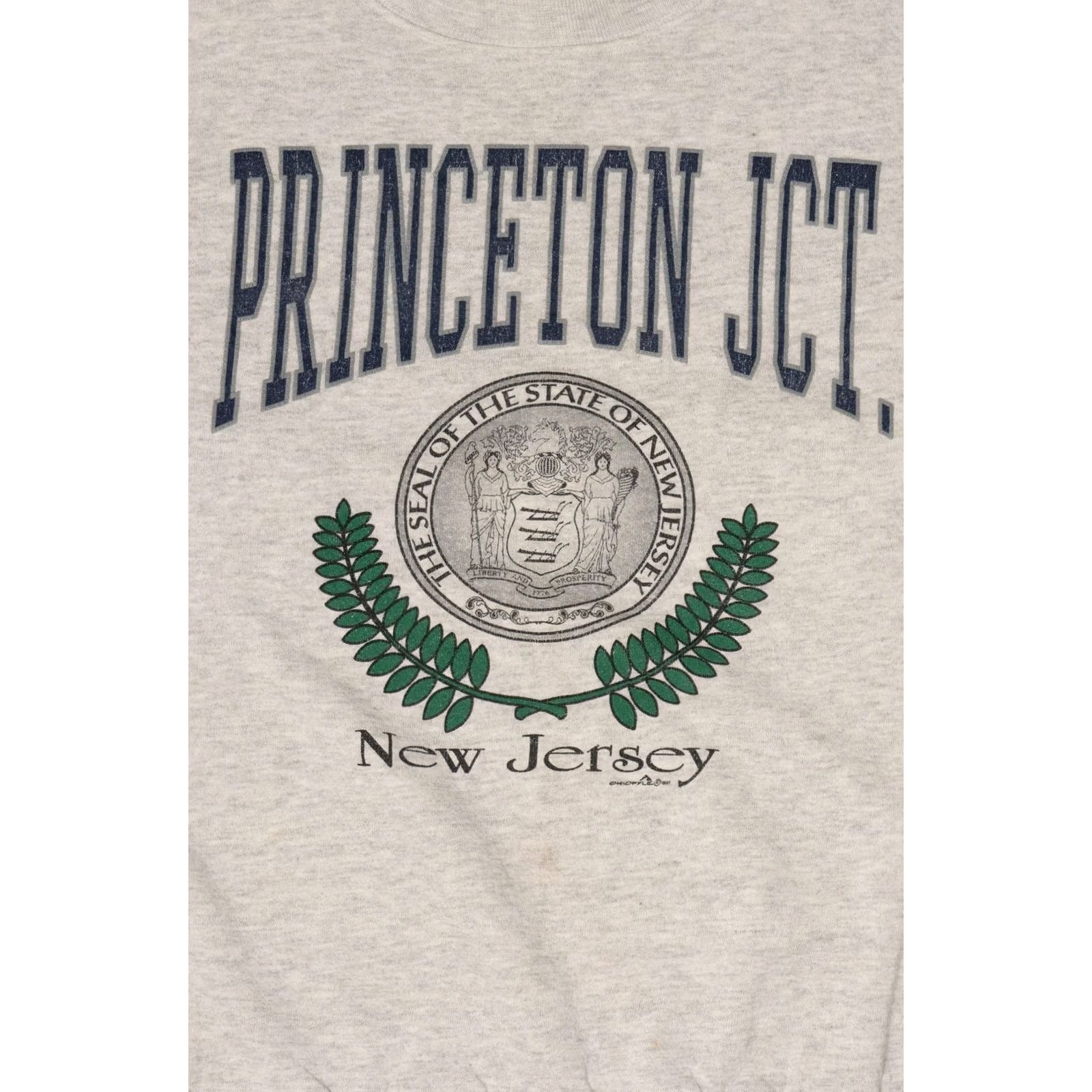 Vintage VINTAGE Grey Princeton Junction New Jersey Sweatshirt 1990s XL Mens Women Girls Boys Size US XL / EU 56 / 4 - 2 Thumbnail