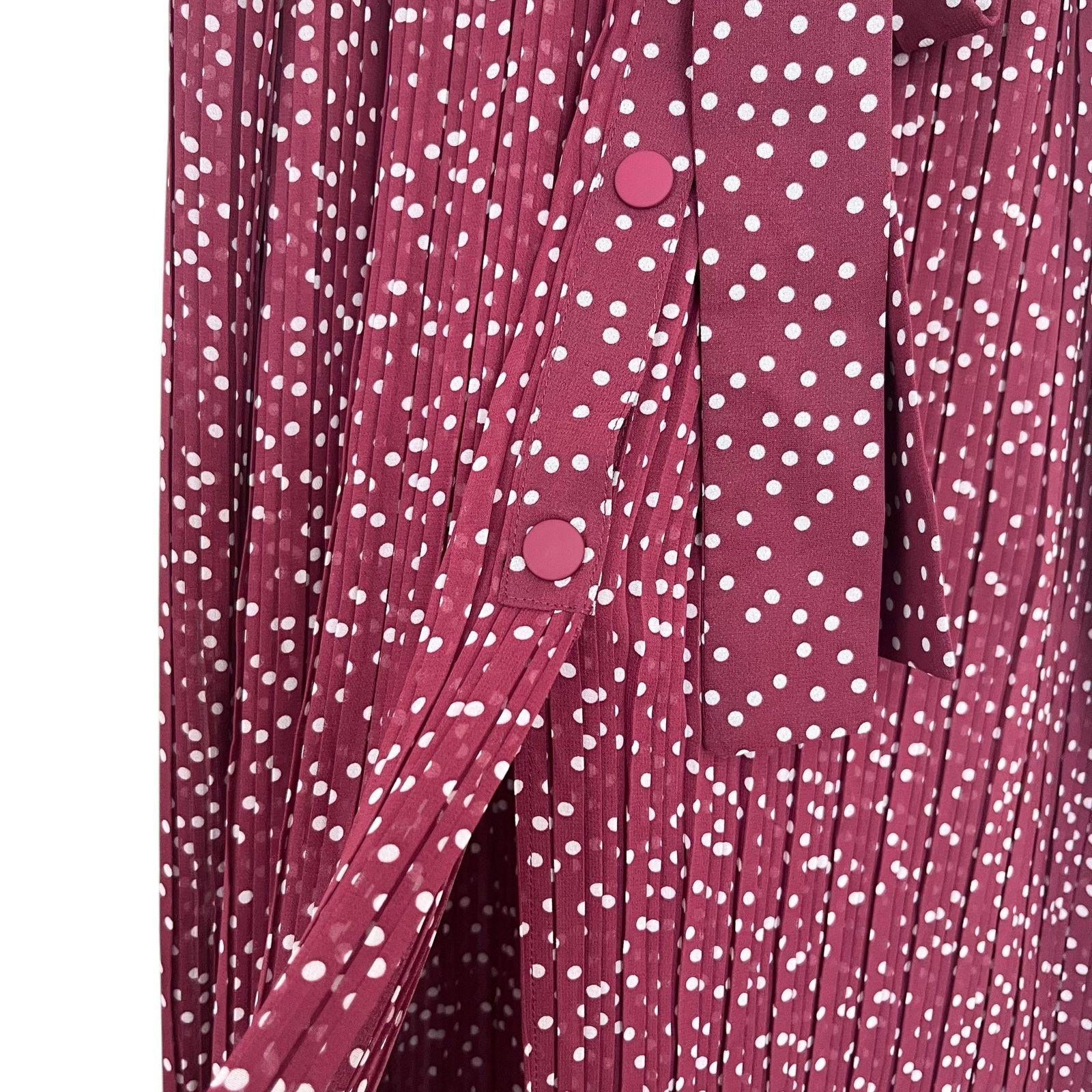 Zara Zara Burgundy Red Polka Dot Print Pleated Maxi Skirt Size 32" / US 10 / IT 46 - 6 Thumbnail