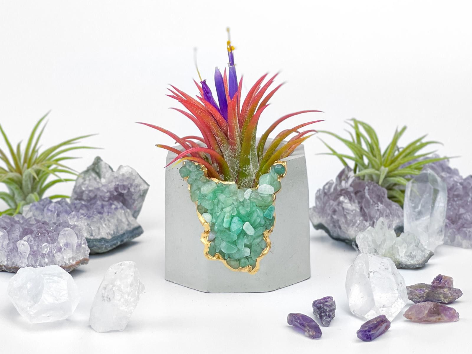 Other Air Plant Holder Geode Planter Air Plant Planter Succulent Size ONE SIZE - 4 Thumbnail