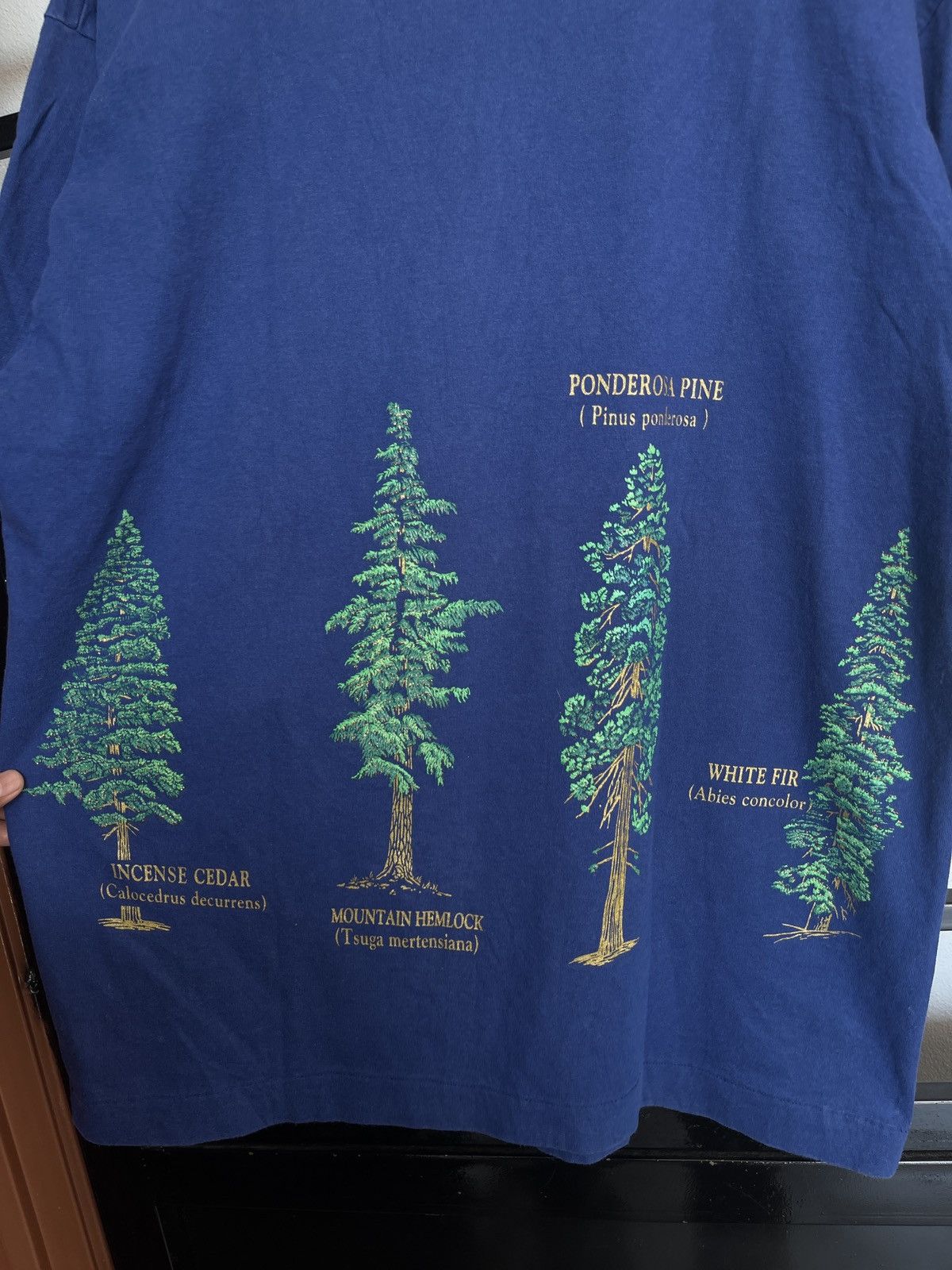 Vintage Vintage Trees of Yosemite National Park USA Size US XL / EU 56 / 4 - 4 Thumbnail