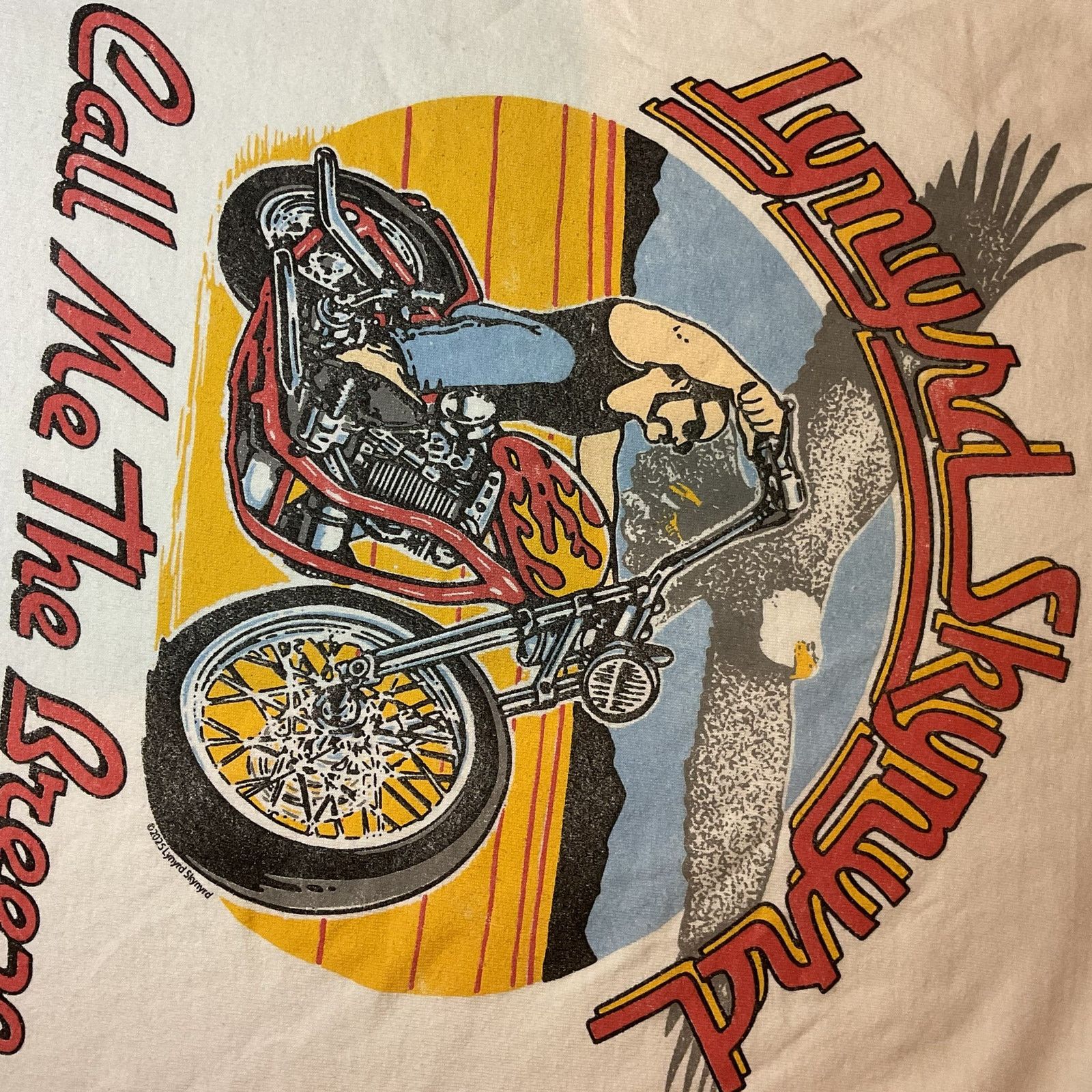 Junk Food 🎸 Vintage Style Lynyrd Skynyrd Graphic T-Shirt (Size M) Size US M / EU 48-50 / 2 - 4 Thumbnail