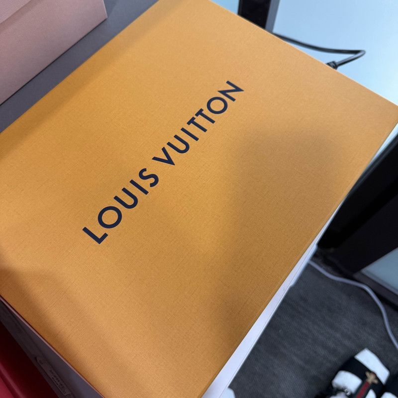 Louis Vuitton Louis Vuitton Trainer Maxi Low-Top Sneakers -2508 Size US 9.5 / EU 42-43 - 6 Thumbnail