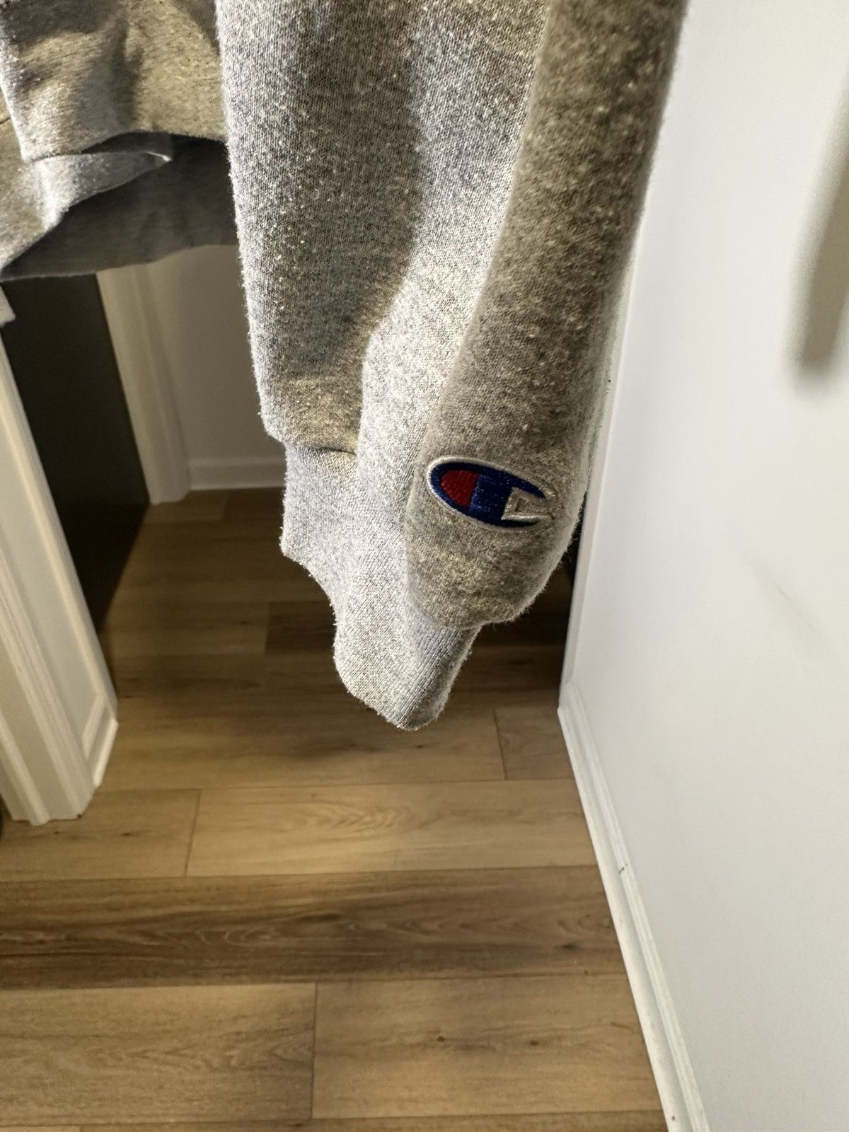 Champion Champion Hoodie (Bird Graphic) Size US XL / EU 56 / 4 - 2 Thumbnail