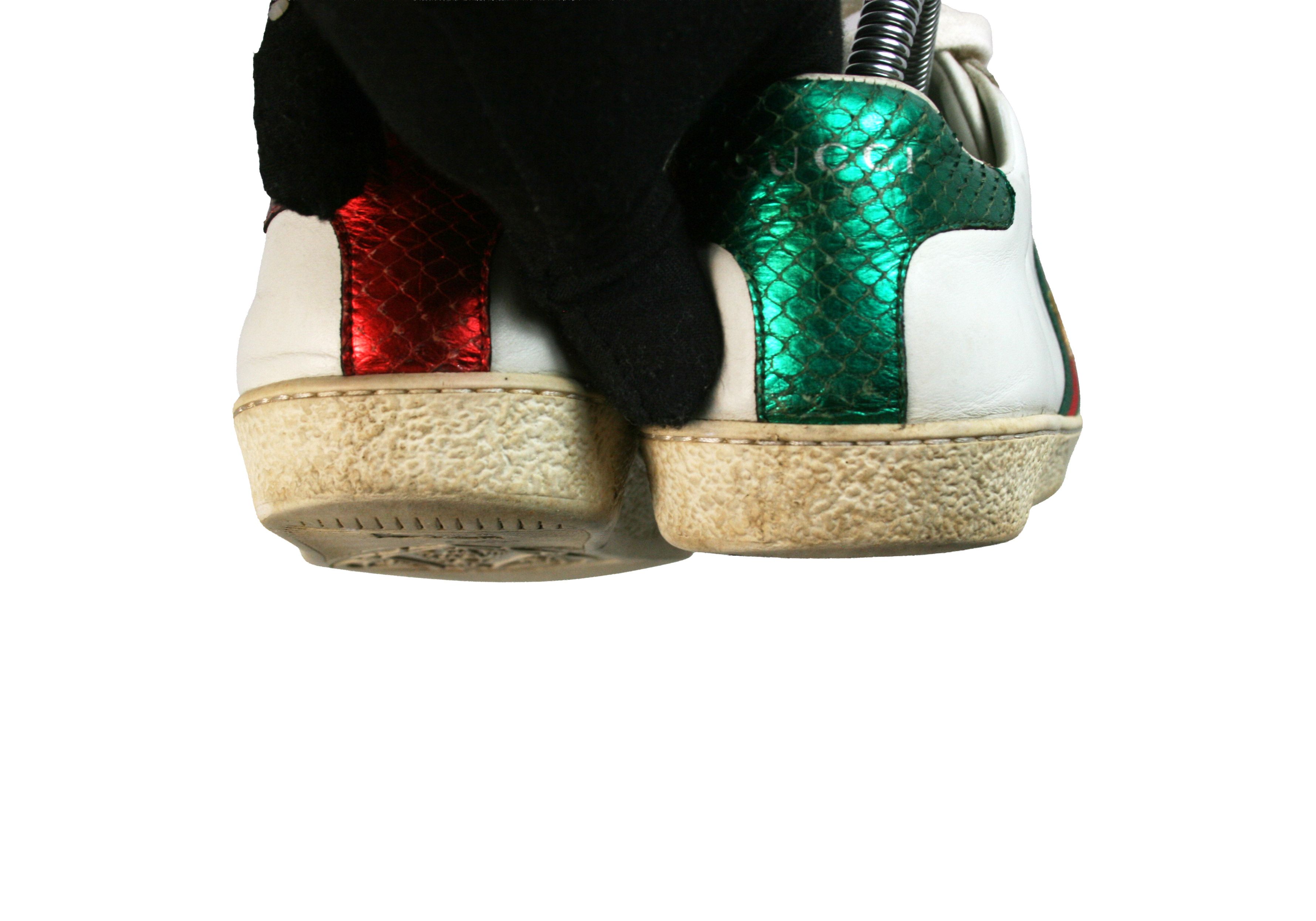 Ace Bee Embroidered Leather Low Sneakers