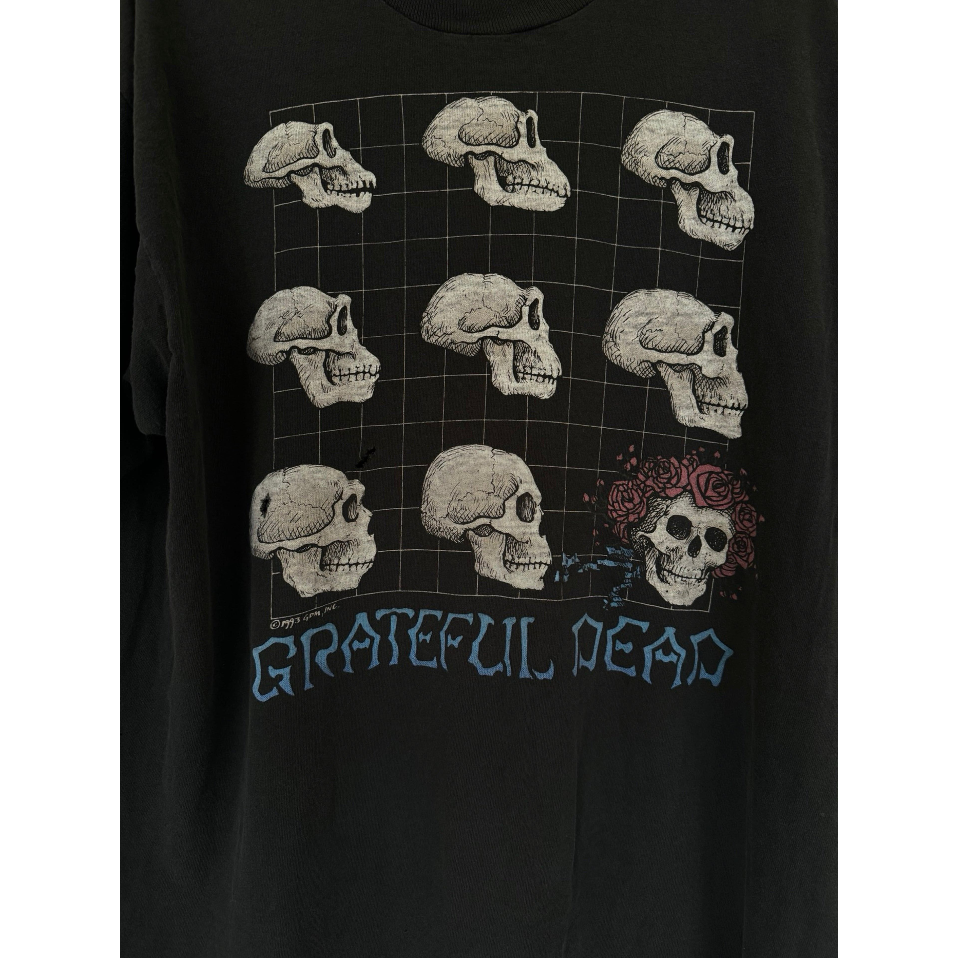 Grateful Dead Strange Trip 1993