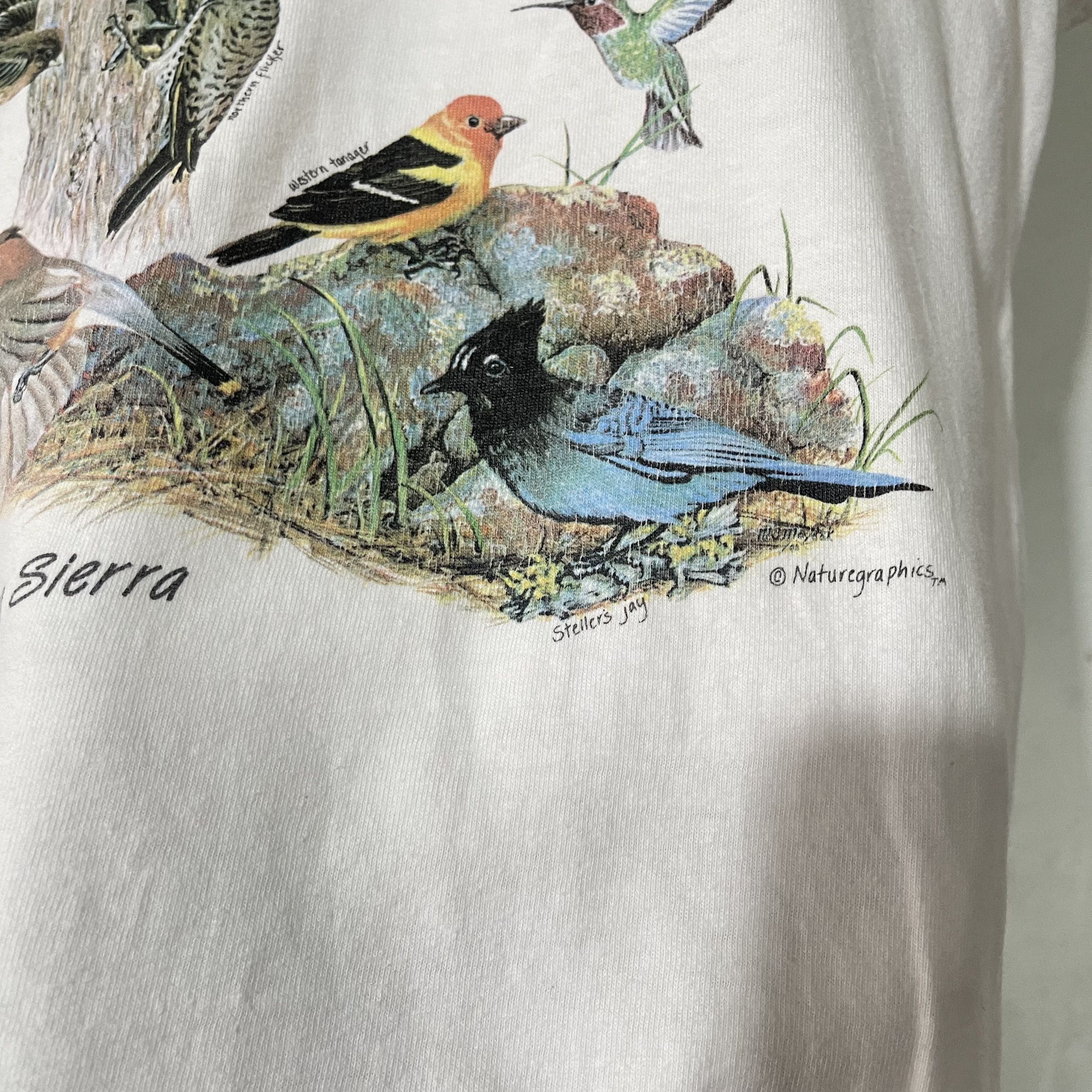 Vintage Vintage 90s Birds of the Sierra T-Shirt Size US M / EU 48-50 / 2 - 3 Thumbnail