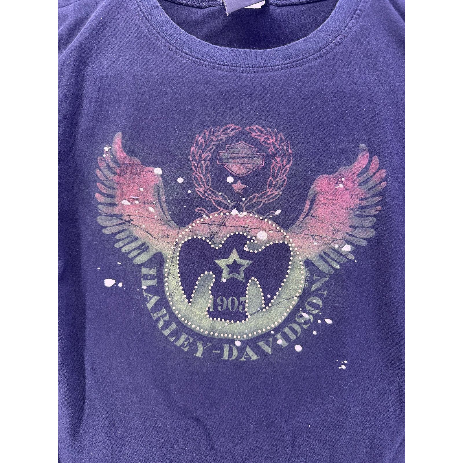 Harley Davidson 2007 Harley Davidson Womens Longsleeve Lisle IL Size Medium Size M / US 6-8 / IT 42-44 - 5 Thumbnail