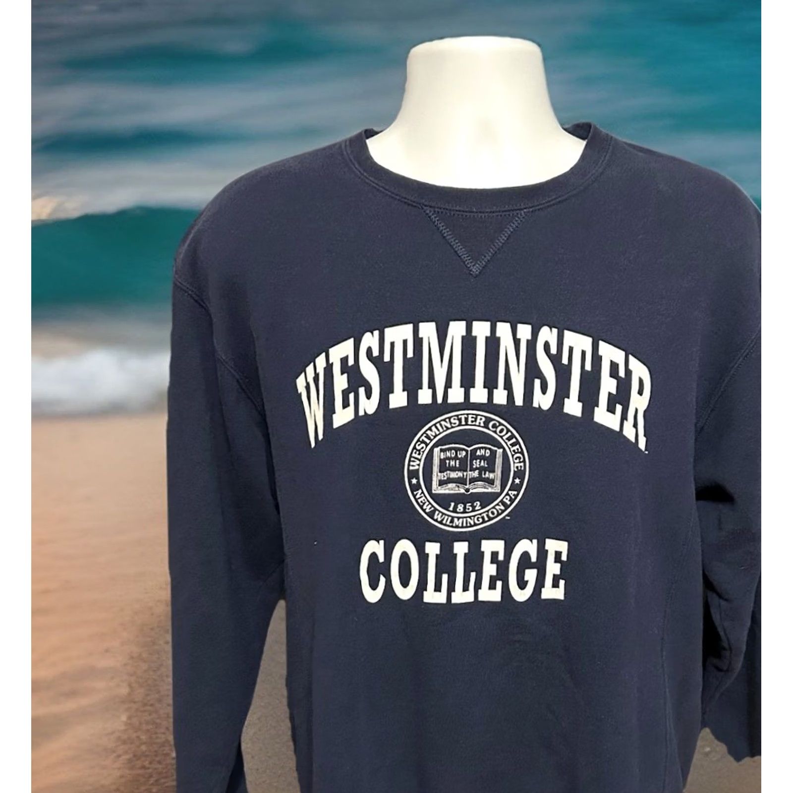 Vintage VINTAGE Russel Shirt M Blue VTG Westminster College Russell Sweatshirt Adult Medium Navy Pullover Size US M / EU 48-50 / 2 - 7 Thumbnail