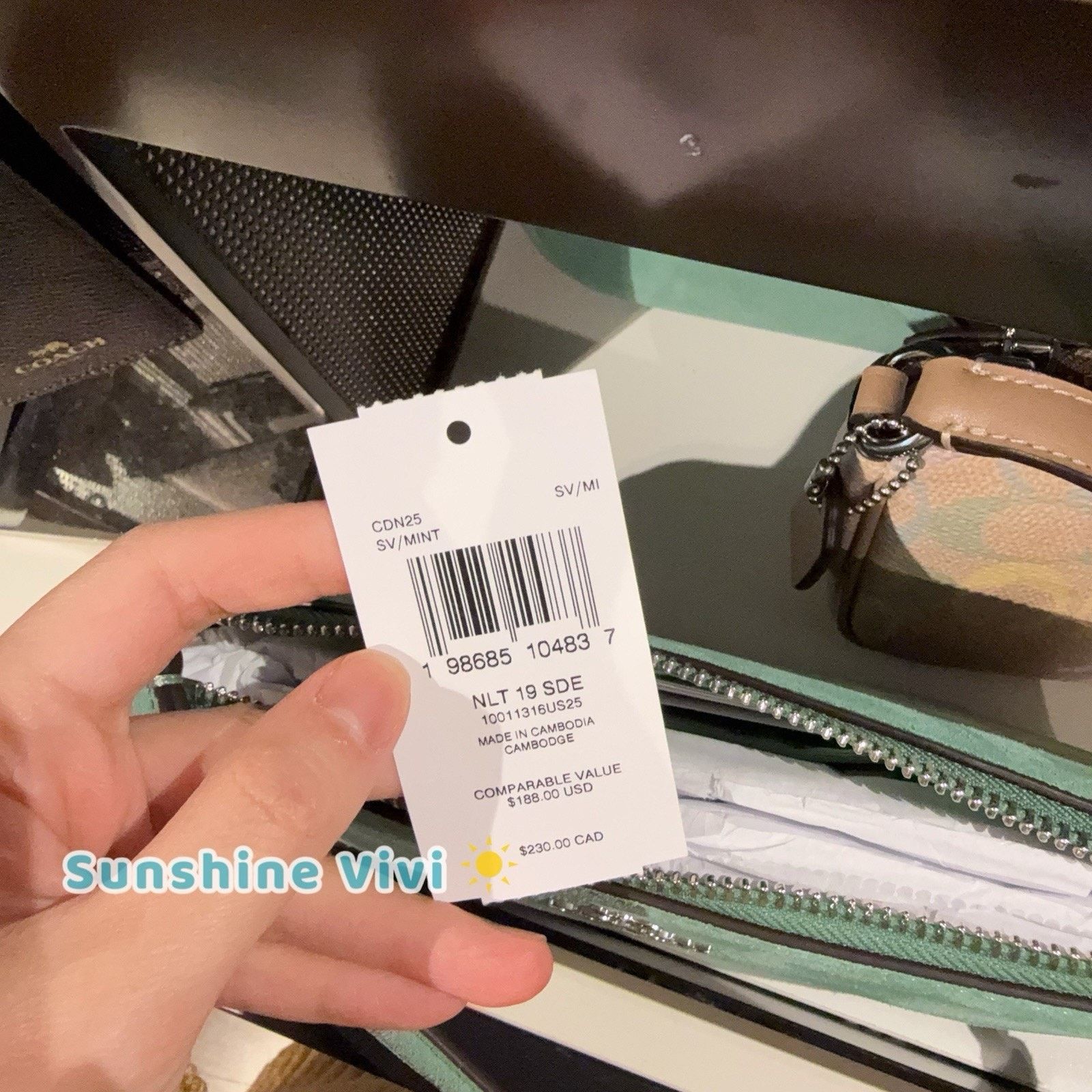 Coach NWT Coach Nolita 19 CDN25 suede/Silver/Mint Size ONE SIZE - 6 Thumbnail
