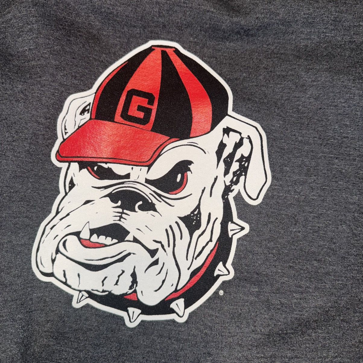 Champion Georgia Bulldogs Grey Crewneck Champion Sweater Vintage Size US M / EU 48-50 / 2 - 5 Thumbnail