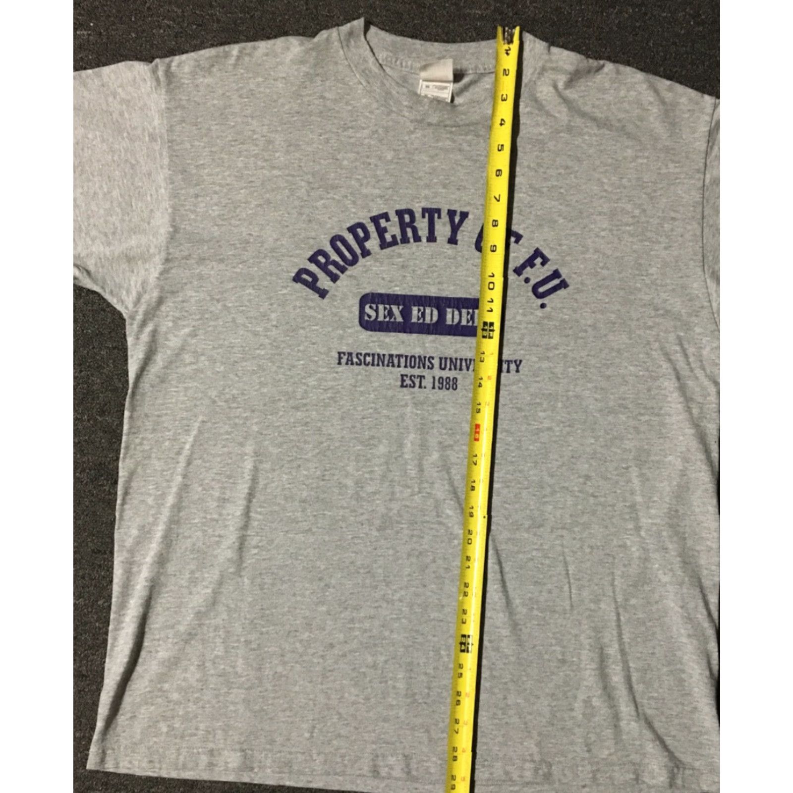 Vintage VINTAGE Property Of F.U. Sex Ed Making You Sweat Shirt XL Gray Mens Short Sleeve 90s Grunge Comedy School College USA USA 80s Surf Skate Size US XL / EU 56 / 4 - 8 Thumbnail