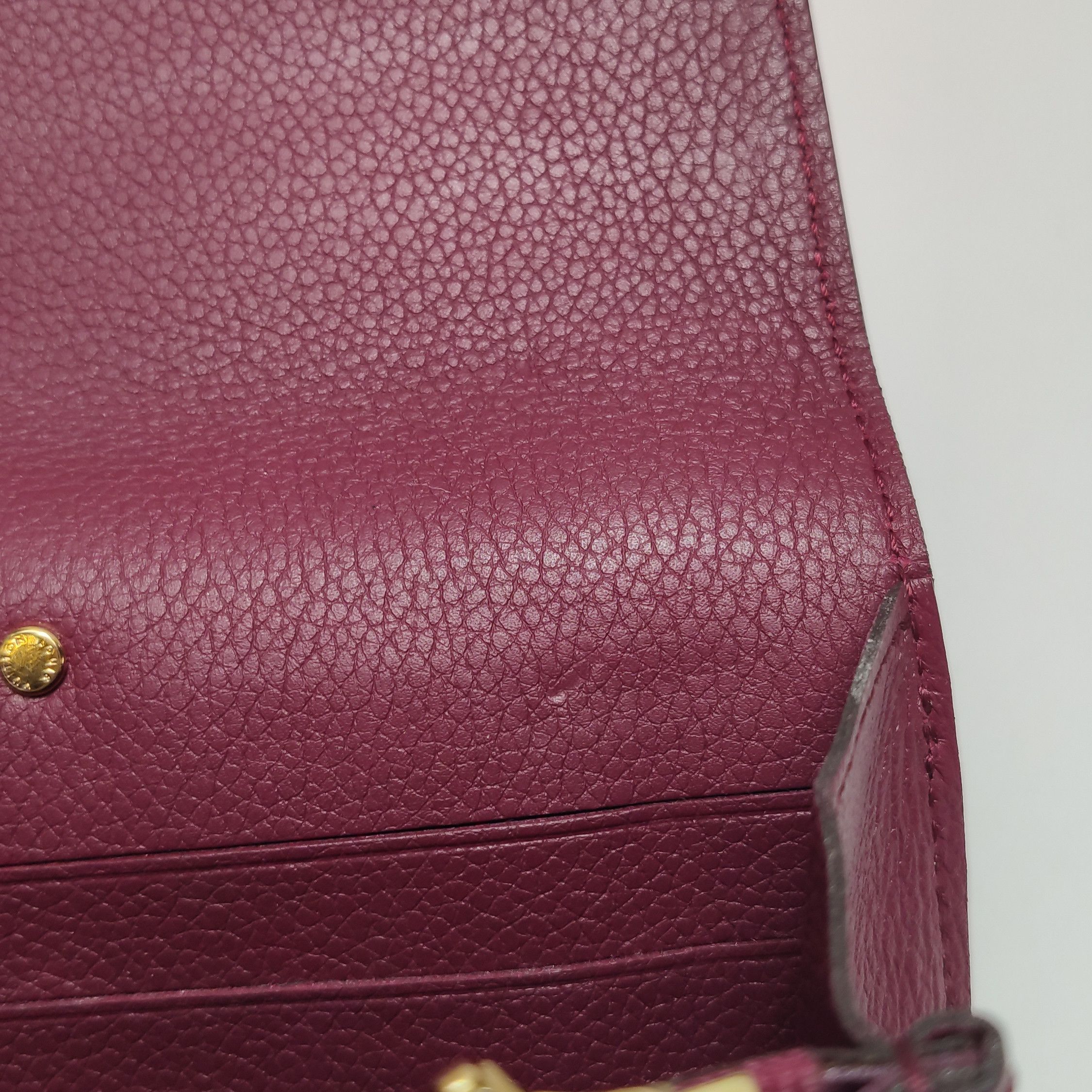Louis Vuitton Louis Vuitton (LV) PALLAS Legend Bag Large Cowhide Vegetabl Size ONE SIZE - 3 Thumbnail