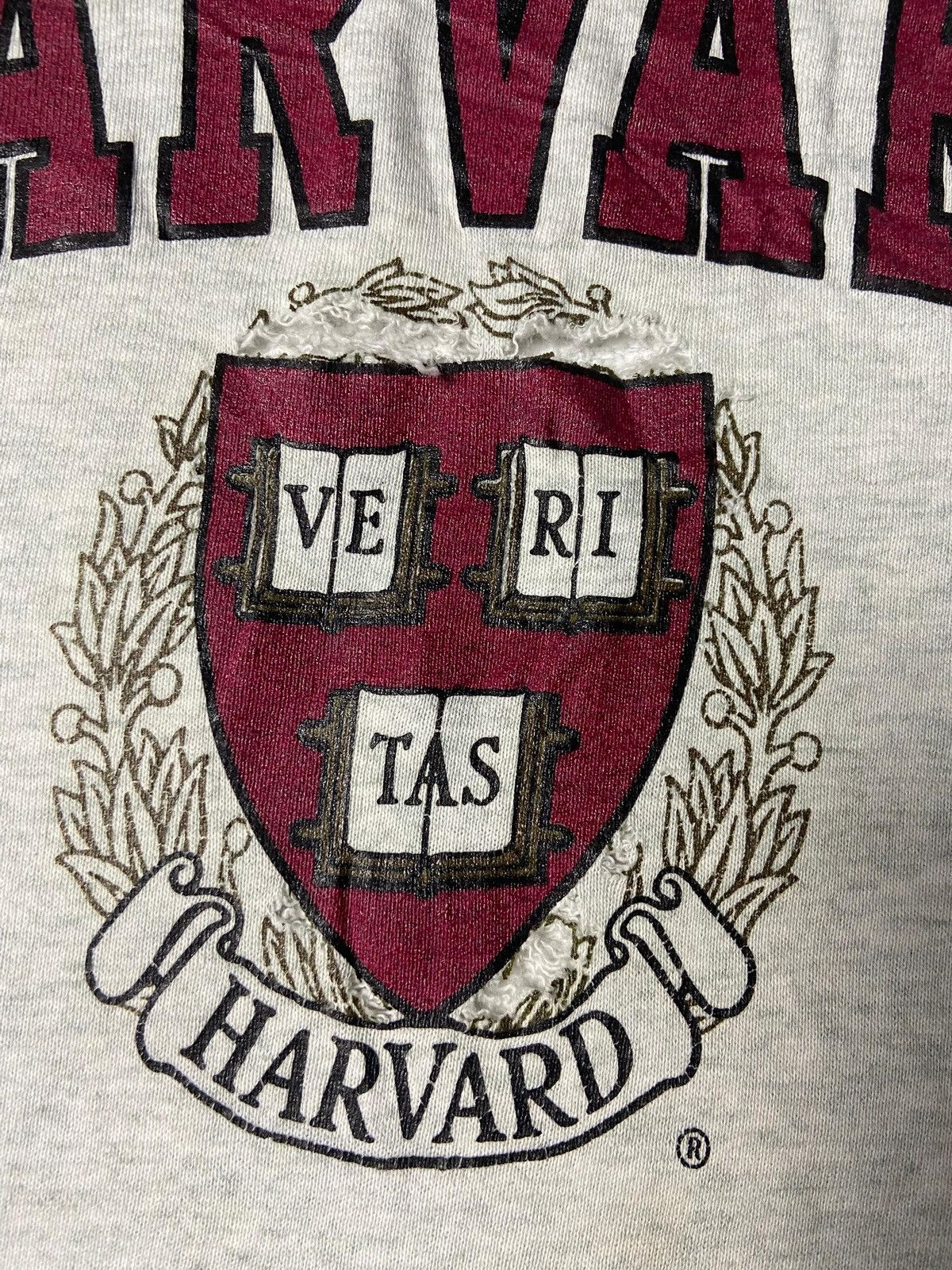 Fruit Of The Loom Fruit of The Loom Harvard Crewneck Sweatshirt (170) Size US L / EU 52-54 / 3 - 9 Thumbnail