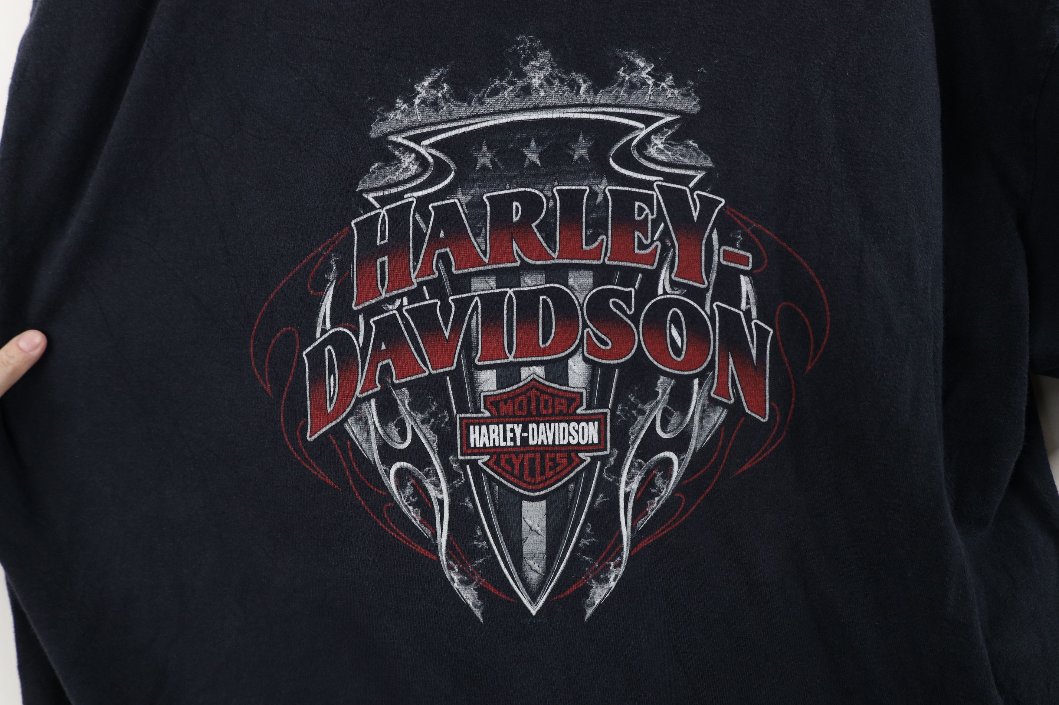 Harley Davidson Vintage Y2K Harley Davidson Fire Flames T-Shirt Black USA Size US XXL / EU 58 / 5 - 4 Thumbnail
