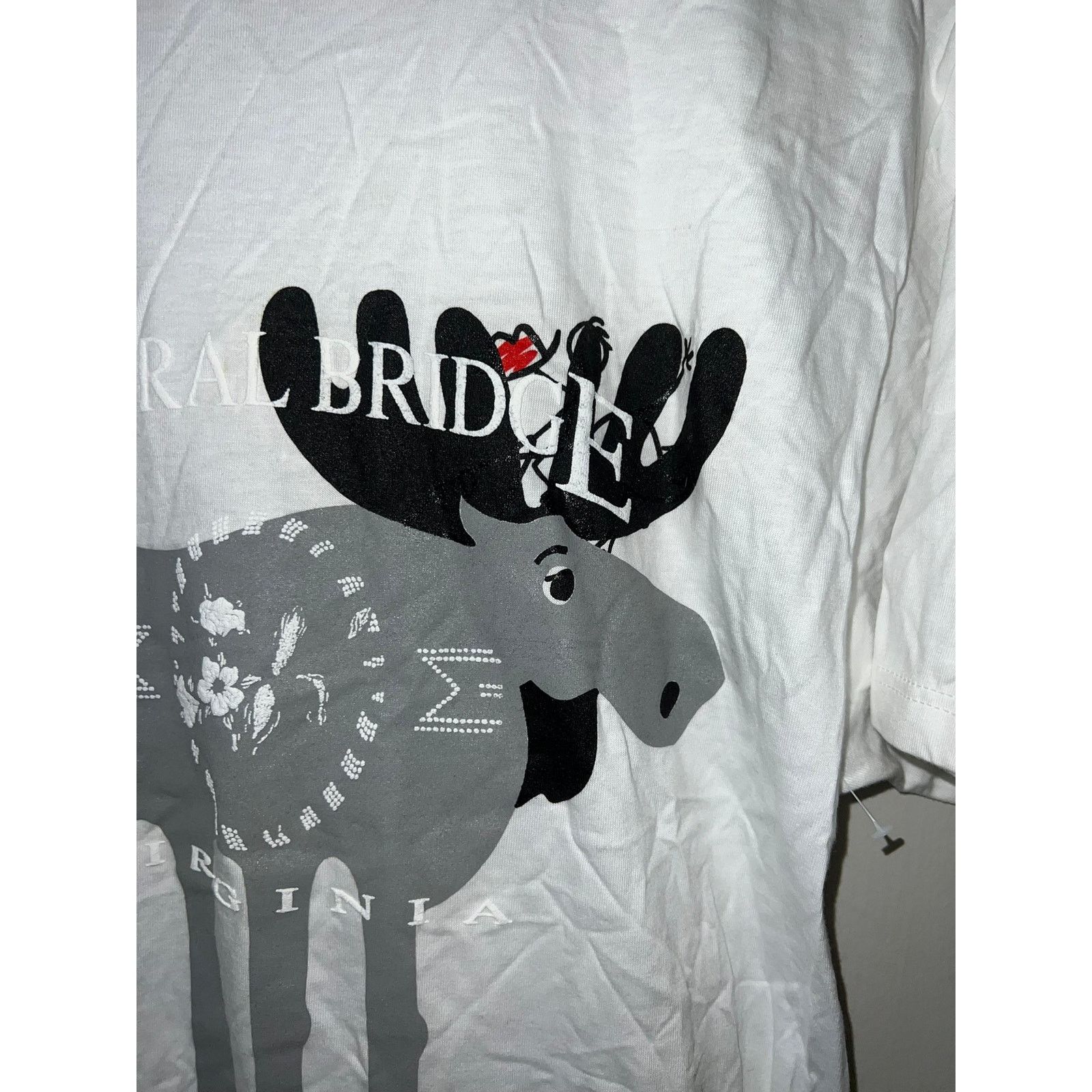 Jerzees Vintage National Park Shirt Test Print Grand Teton Large Size US L / EU 52-54 / 3 - 3 Thumbnail