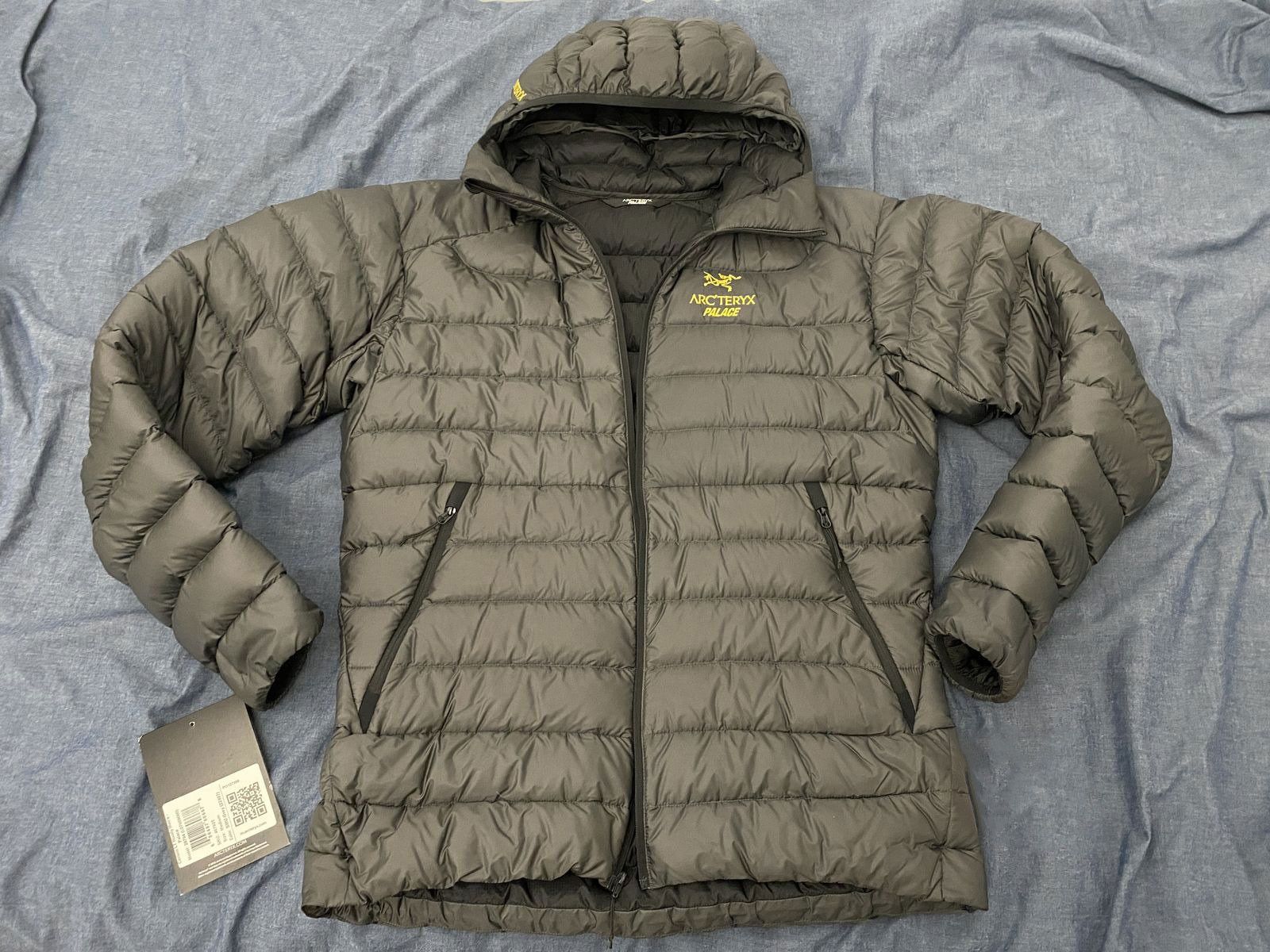 Arc'teryx Arc'teryx Hoodie FW20 Cerium LT Hoody Size US M / EU 48-50 / 2 - 1 Thumbnail