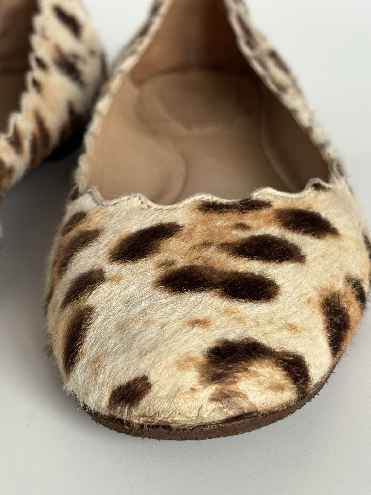 Chloe Chloe Leopard Print Calf Hair Scalloped Ballet Flats 37 US 7 Size US 7 / IT 37 - 5 Thumbnail
