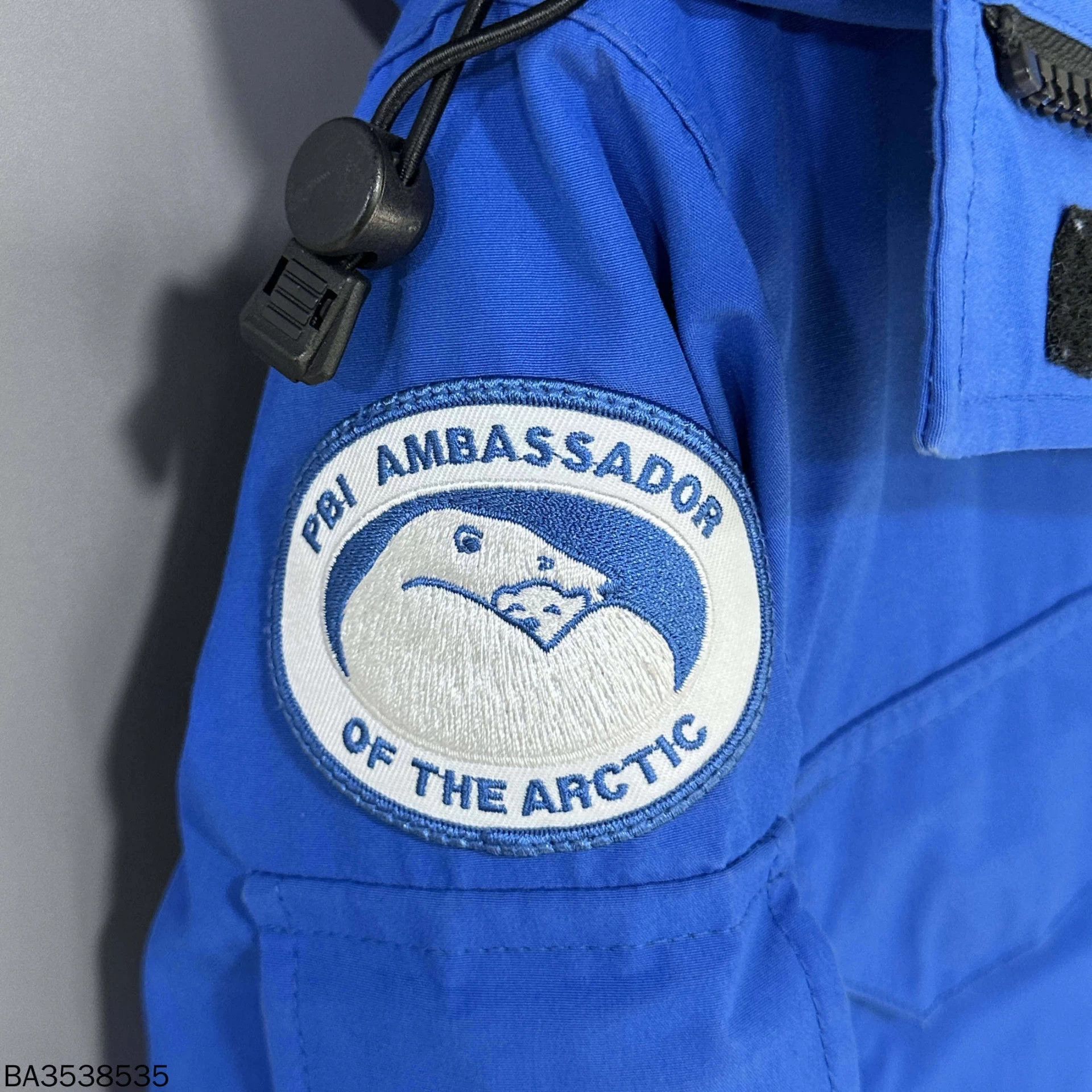 Canada Goose Blue Canada Goose Expedition Polar Bear Charity Mint XS Size US XS / EU 42 / 0 - 7 Thumbnail