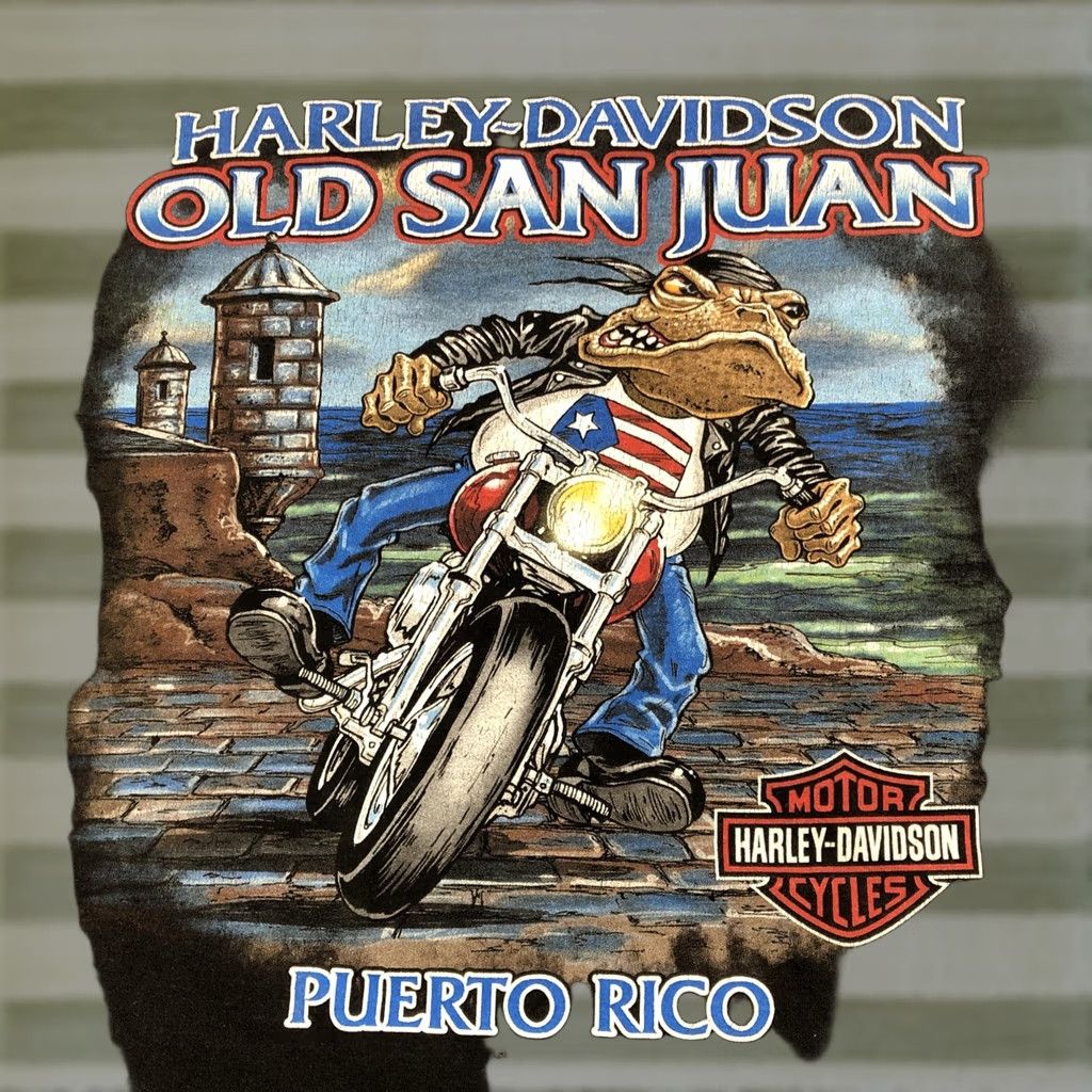 Harley Davidson VINTAGE Harley Davidson T-Shirt Men 3XL Black Frog Rider Bar 2 Sided Graphic Print crew neck short sleeve United States Harley Davidson Size US XXL / EU 58 / 5 - 1 Thumbnail