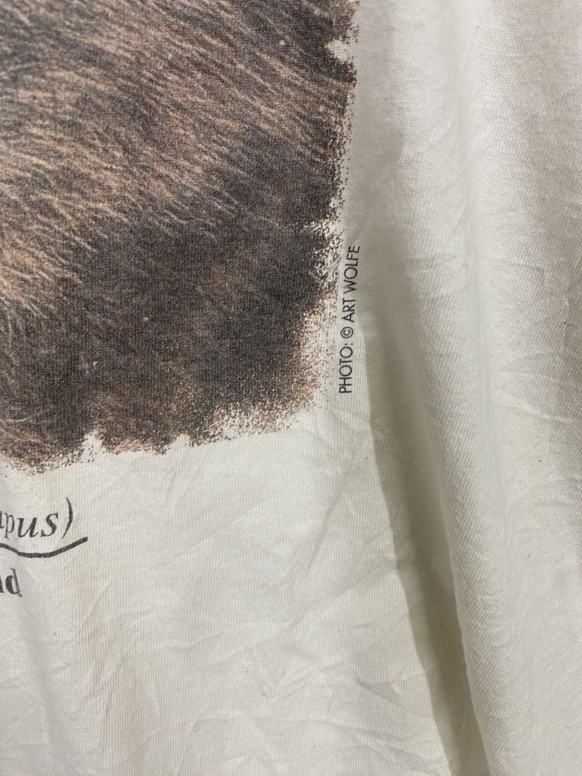 Vintage Vintage gray wolf world wildlife fund tshirt Size US XXL / EU 58 / 5 - 5 Thumbnail