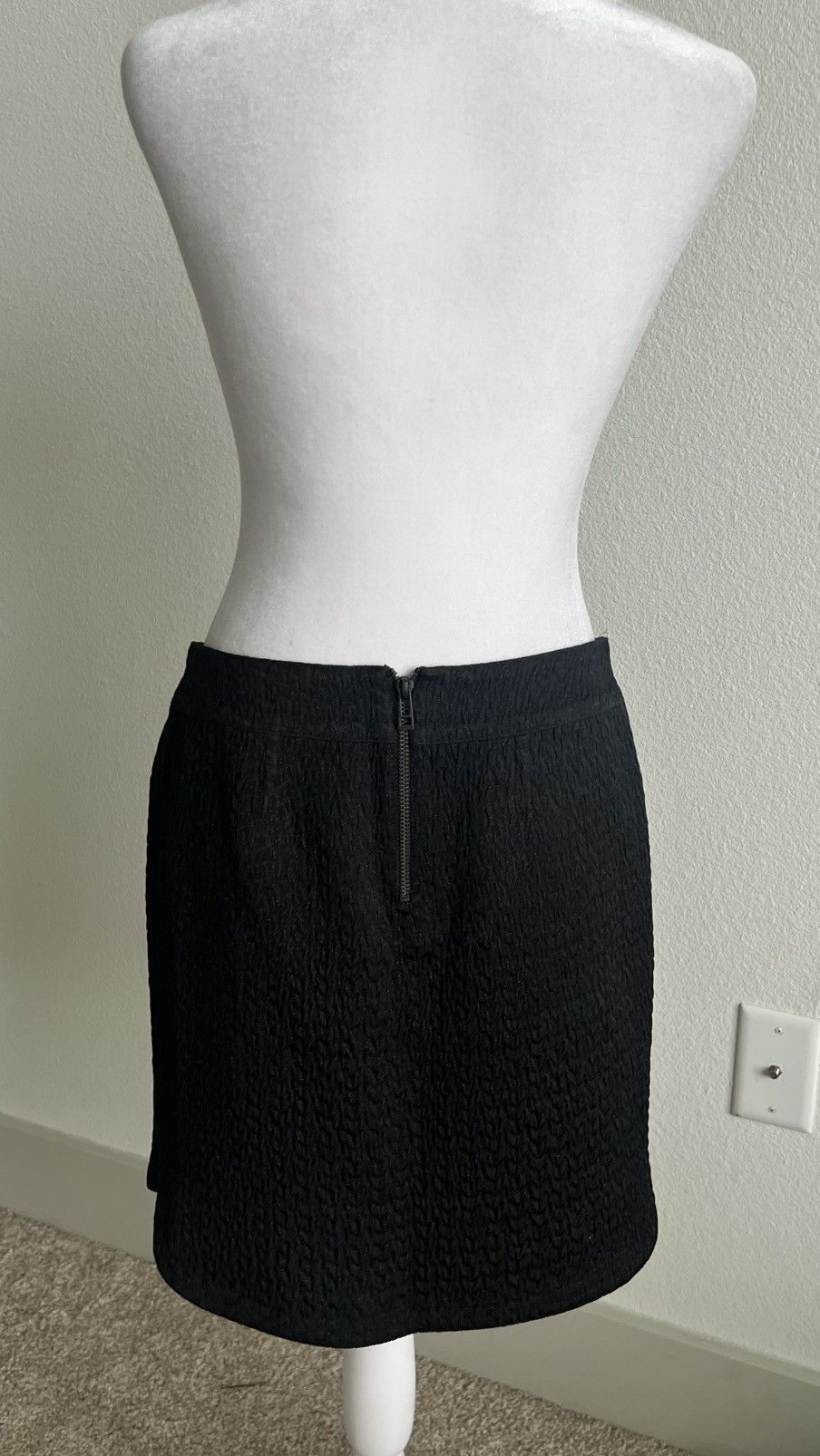 Zadig & Voltaire Zadig & Voltaire Deluxe Jasmina skirt Size 26" / US 2 / IT 38 - 8 Thumbnail