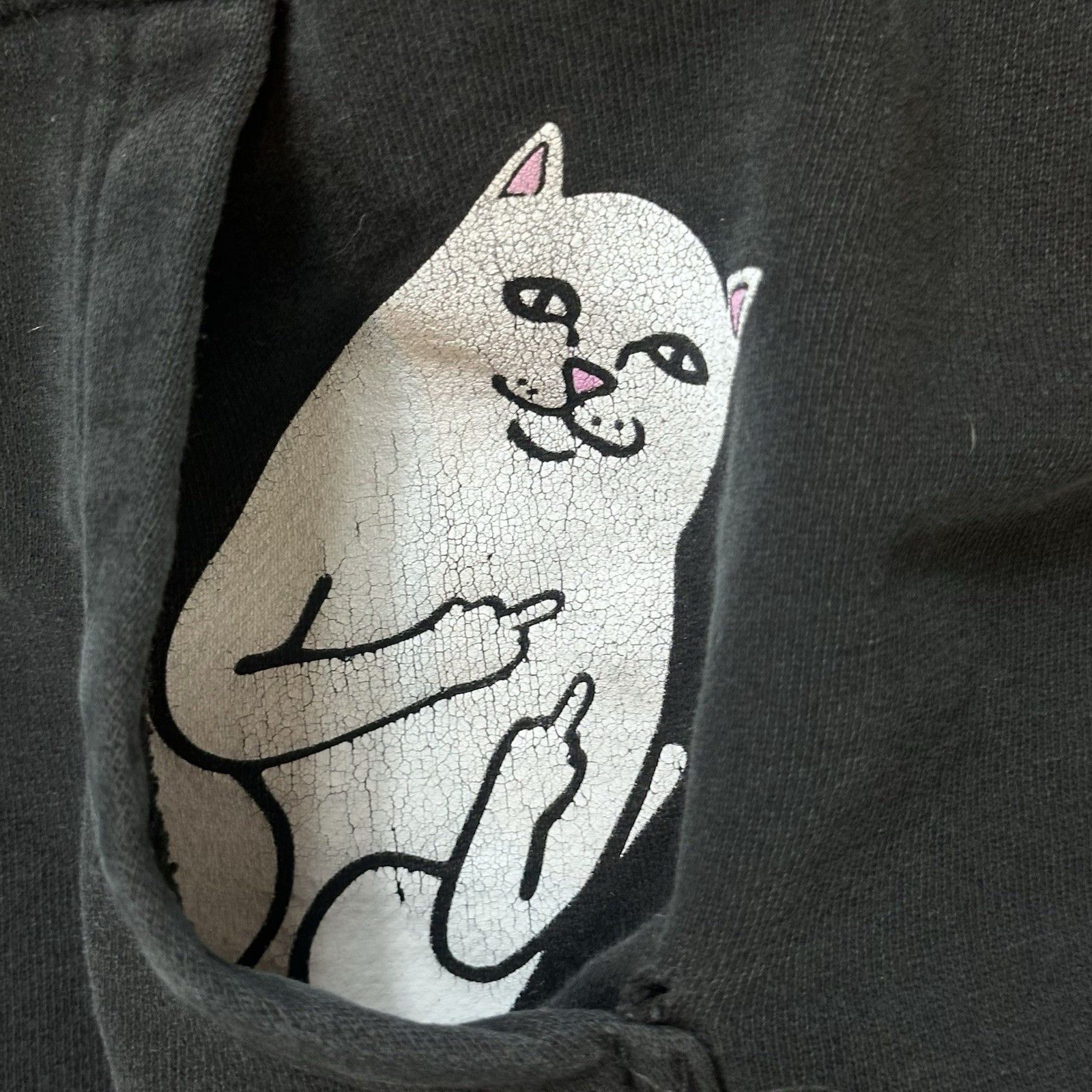 RIPNDIP RipNDip Cat Hoodie Medium Black Pullover Graphic Streetwear Size US M / EU 48-50 / 2 - 4 Thumbnail