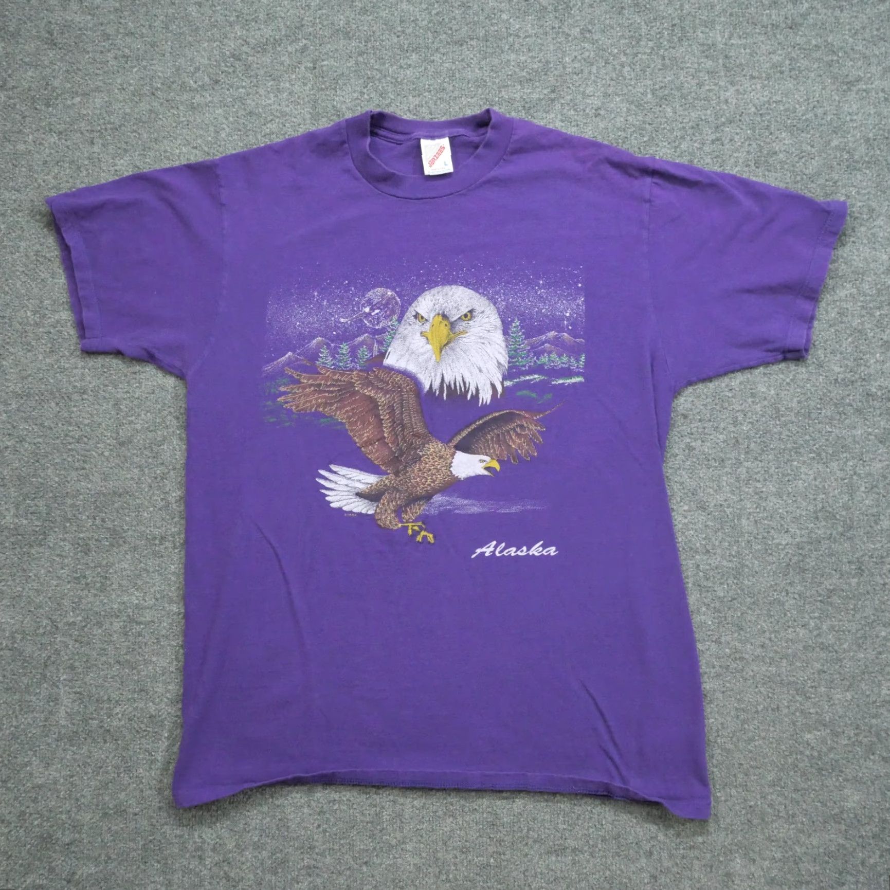 Vintage VINTAGE Alaska T Shirt Mens Large Purple Eagle Nature 90s Shirt Size US L / EU 52-54 / 3 - 2 Thumbnail