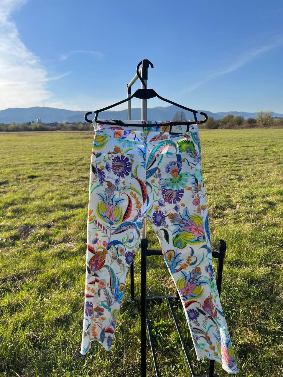 image of Etro Multicolor Pants Horse And Flowers, Men's (Size 30)