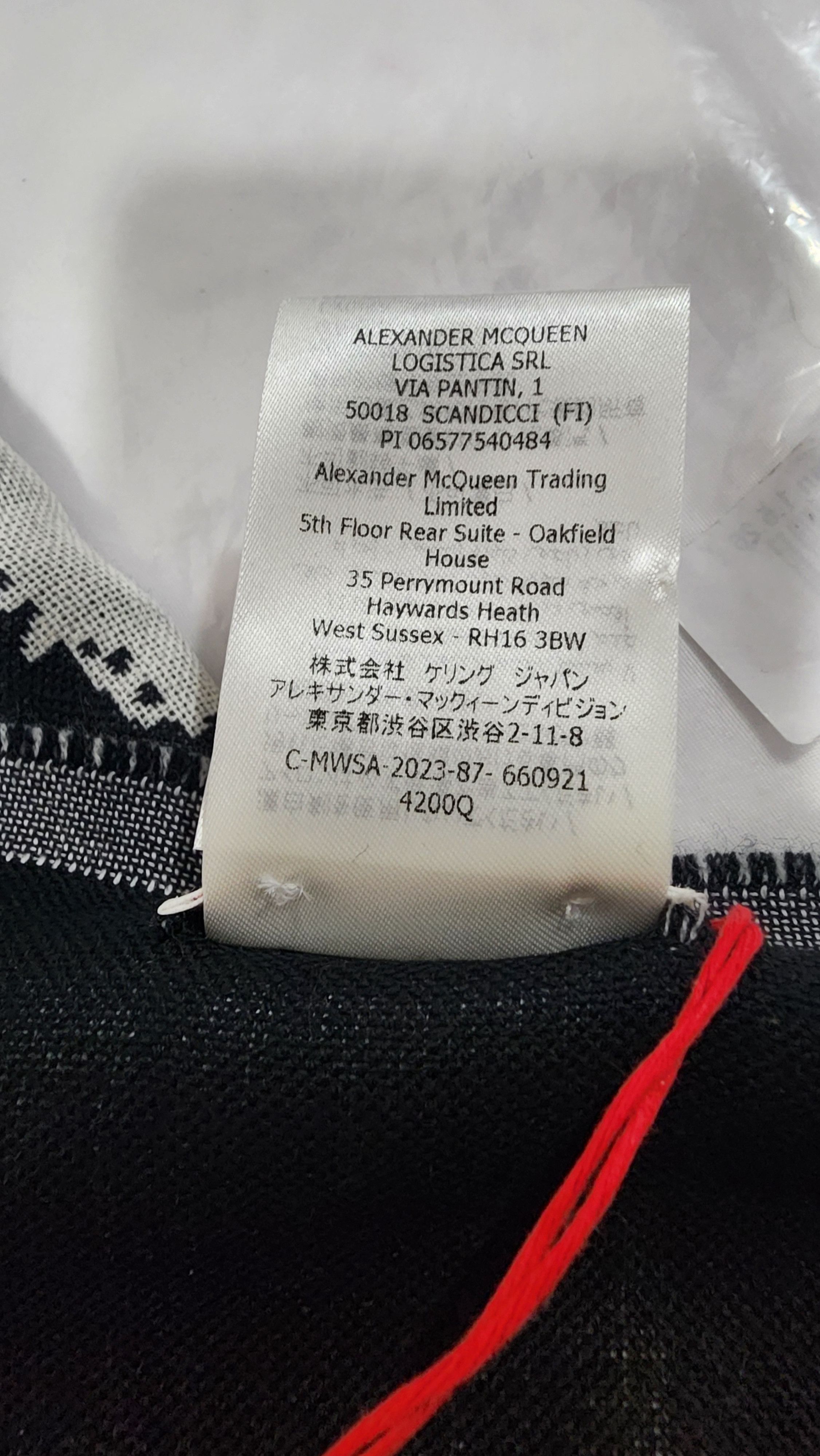 Alexander McQueen Alexander McQueen Oversize McQueen Graffiti Scarf Wool COA Size ONE SIZE - 15 Thumbnail
