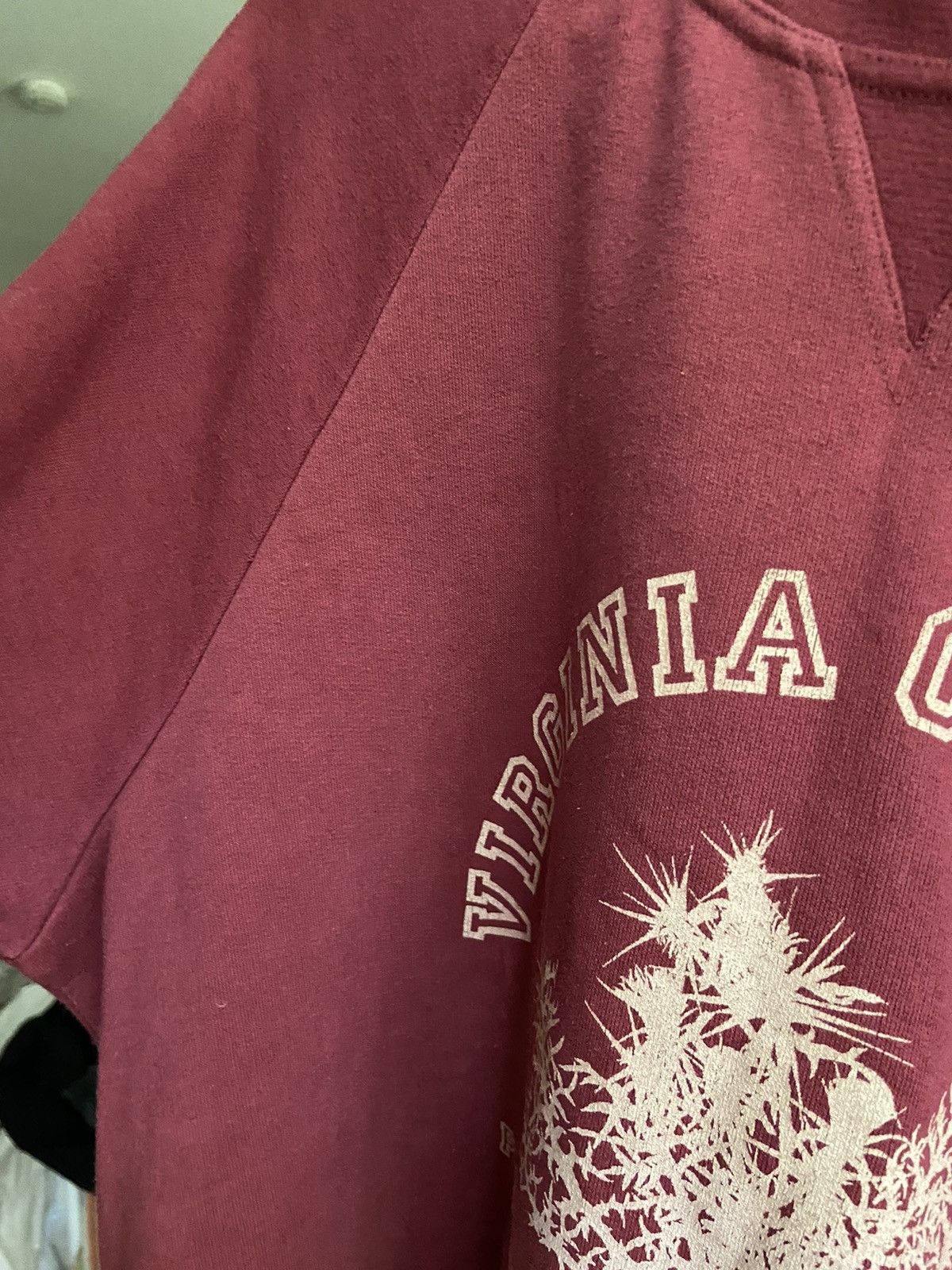 Virginia Creeper Sweatshirt Raf Simons
