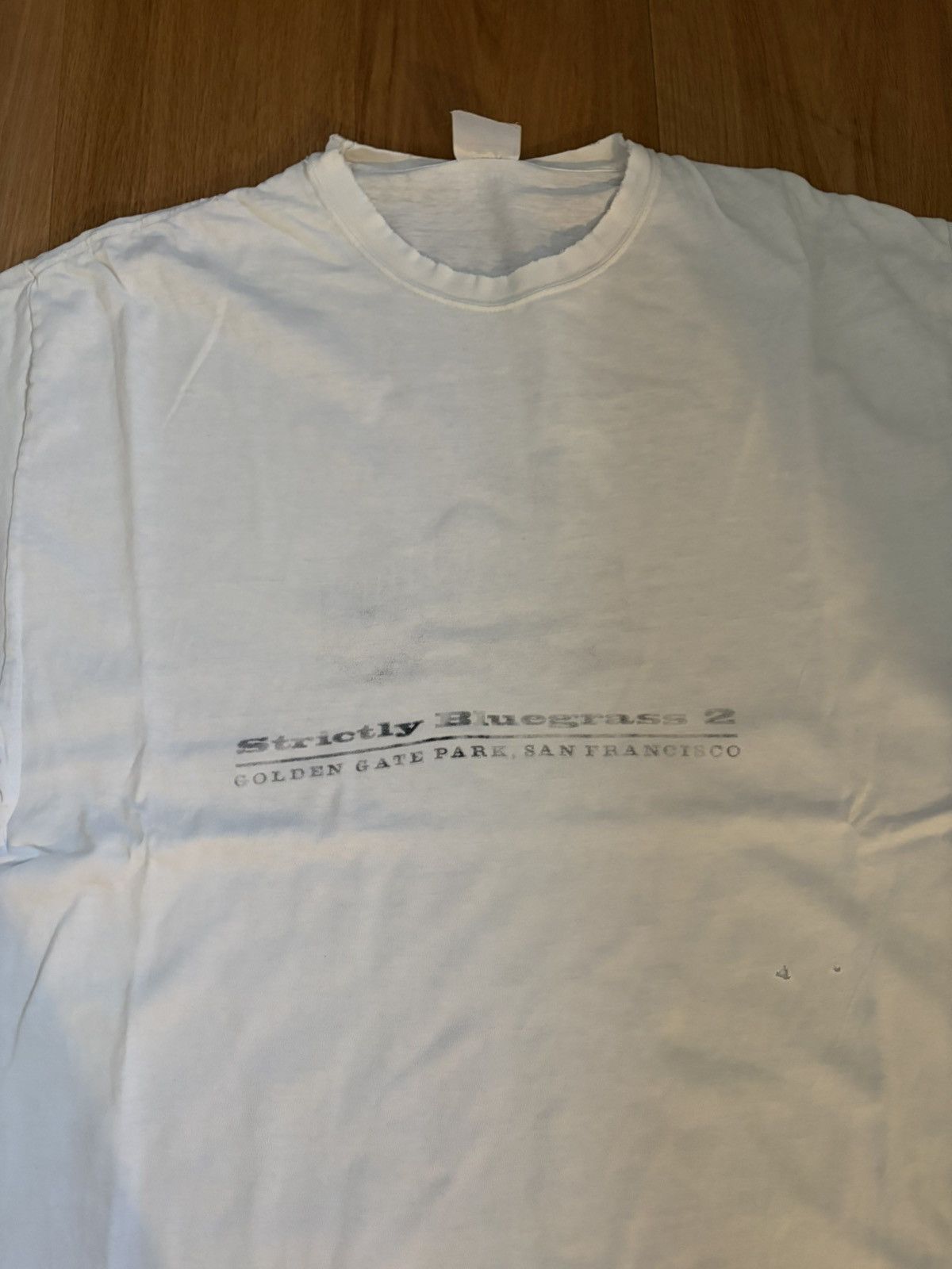Vintage Hardly Strictly Bluegrass 2002 Vintage T-Shirt | Hanes | XL Size US XL / EU 56 / 4 - 2 Thumbnail