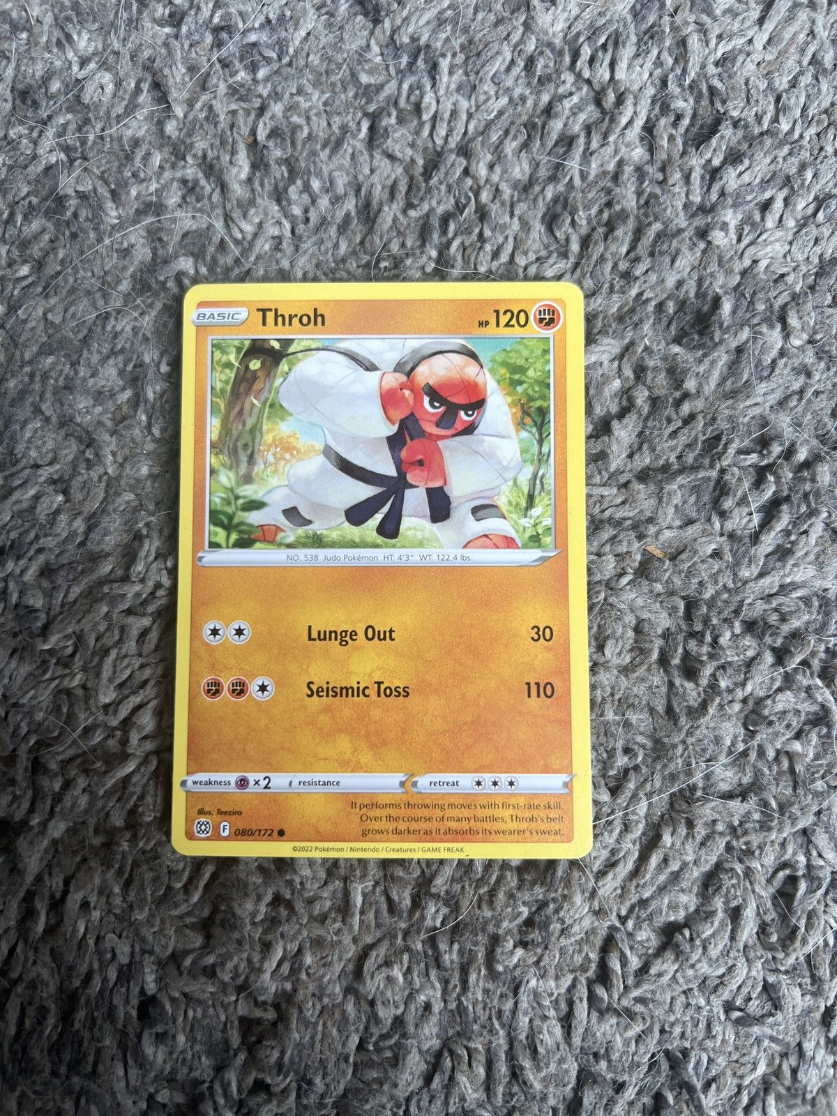 Pokemon 2022 Pokémon Throh Basic Card Size ONE SIZE - 1 Thumbnail