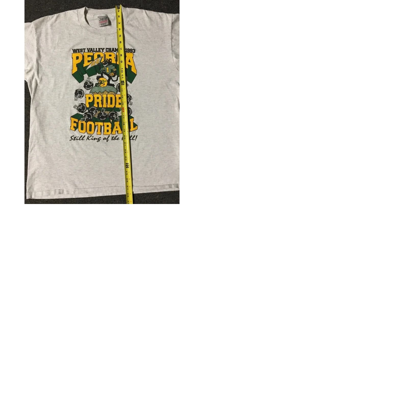 Champion VINTAGE 90s Peoria School Panther Football Champions Faded Shirt XL Gray Nike? Size US XL / EU 56 / 4 - 9 Thumbnail