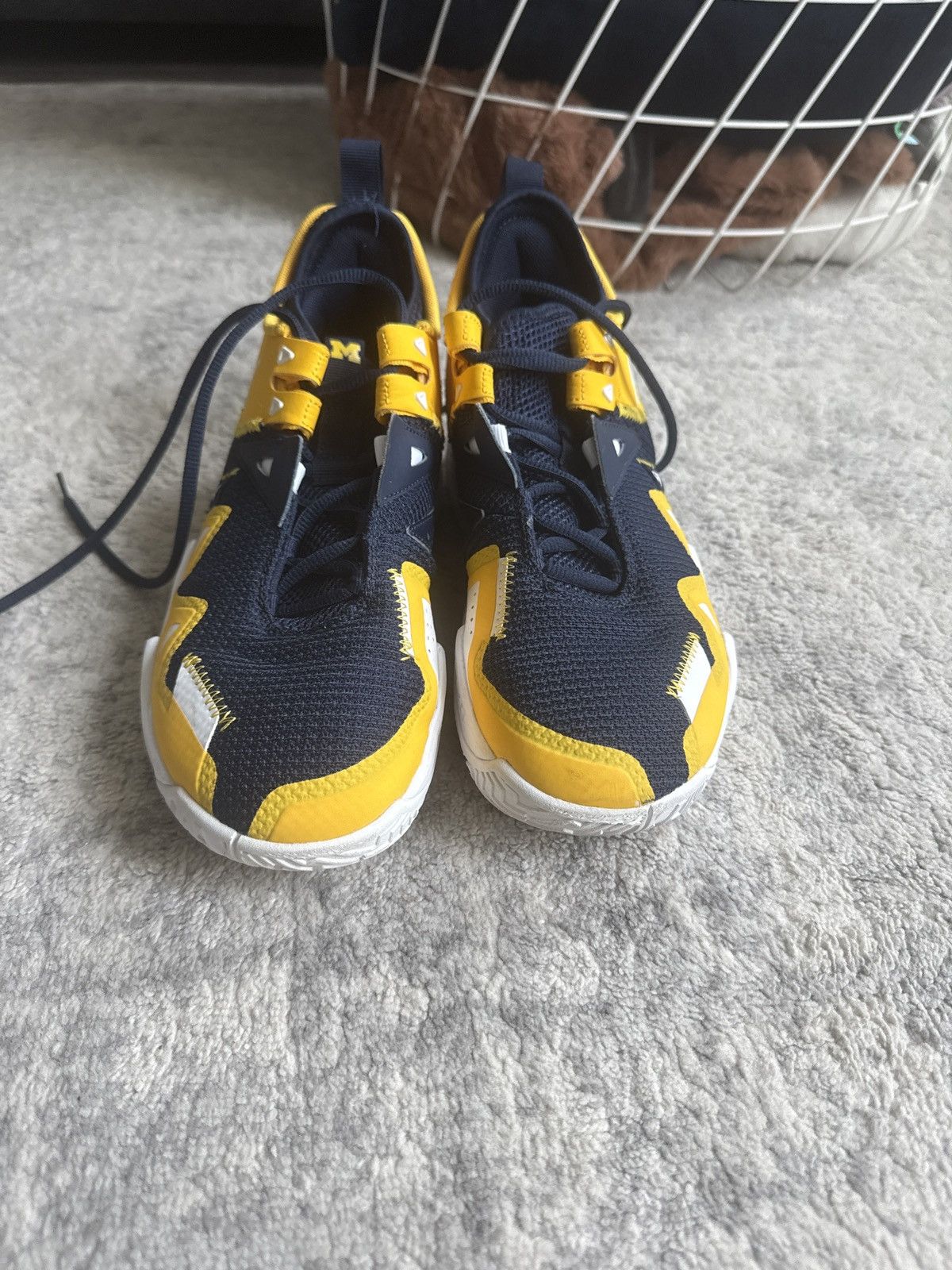 Jordan Brand Michigan PE’s Size US 8 / EU 41 - 3 Thumbnail