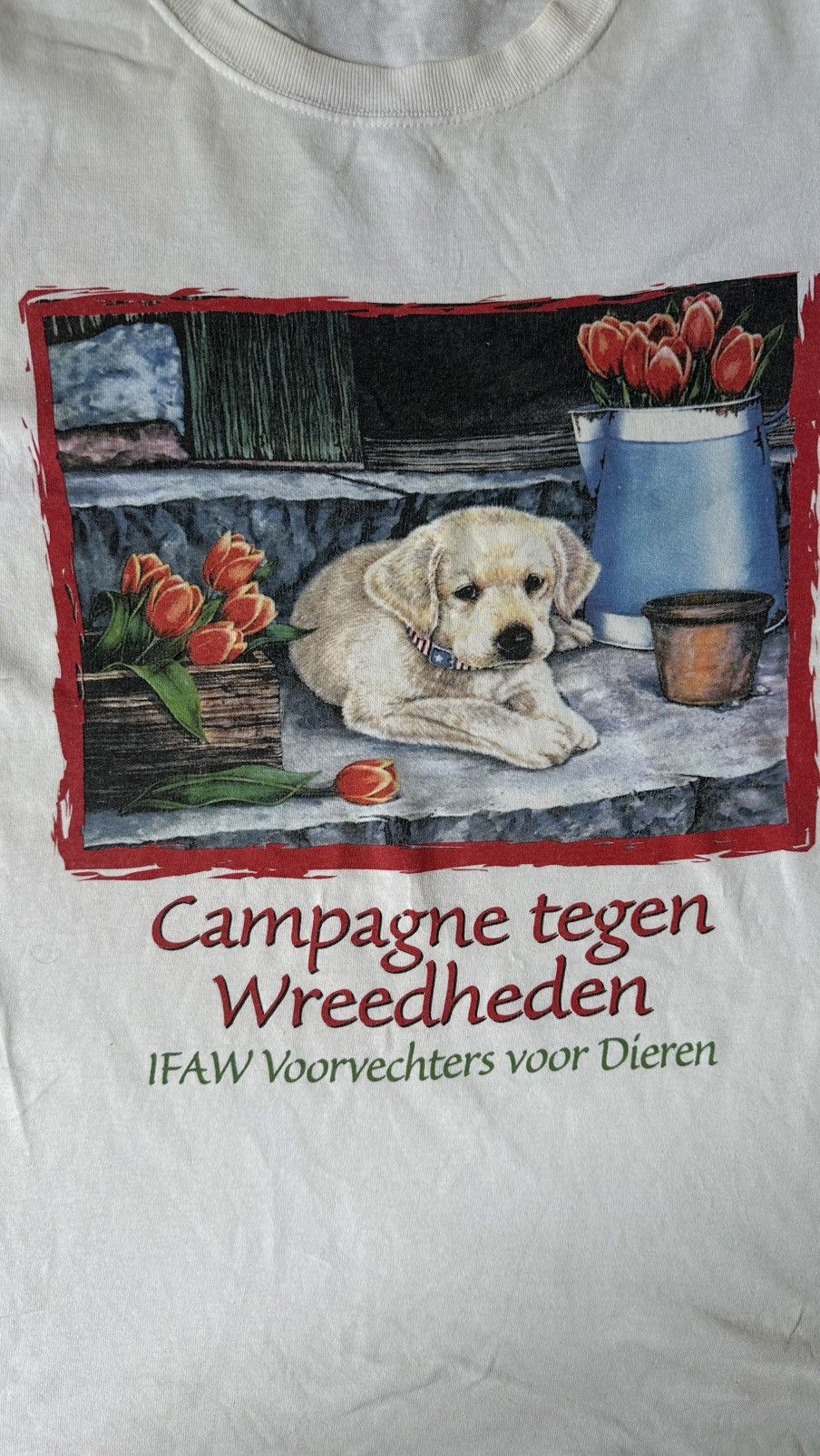 Vintage VINTAGE IFAW DOG GRAPHIC TEE Size US XL / EU 56 / 4 - 2 Thumbnail