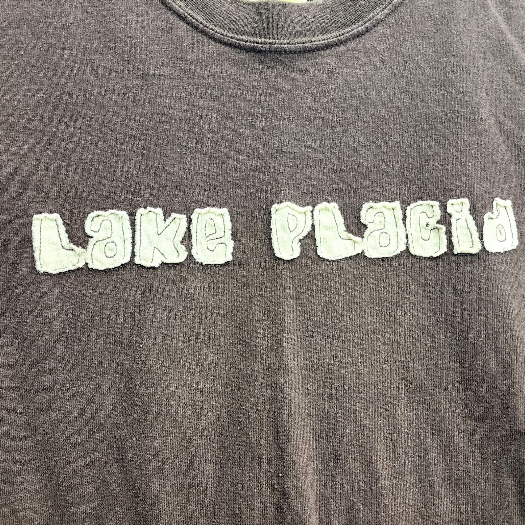 Vintage Lake Placid Lake Shirt Men Black T-Shirt M Relaxed Fit Size US M / EU 48-50 / 2 - 2 Thumbnail