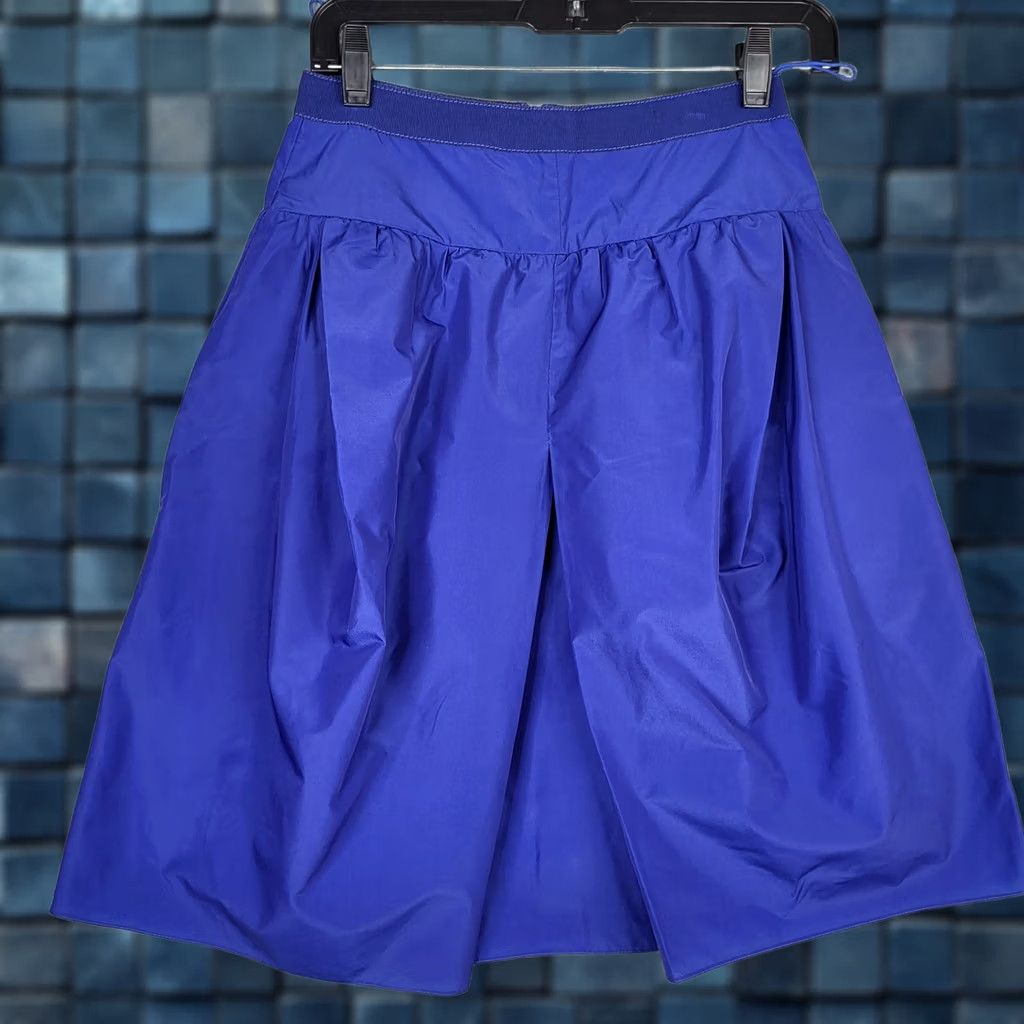 Carven CARVEN Women's Blue Lining A-line Skirt Size 36 Regular Knee Length Victorian? No, skip. Size 25" / US 0 / IT 36 - 1 Thumbnail